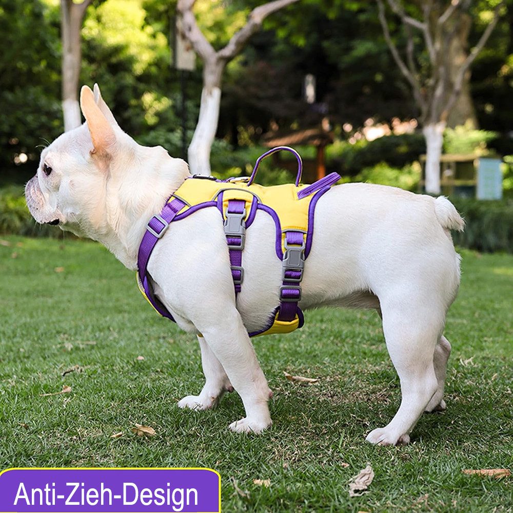 Ledander Hunde-Geschirr Hundegeschirr, reflektierendes Geschirr, verstellba günstig online kaufen