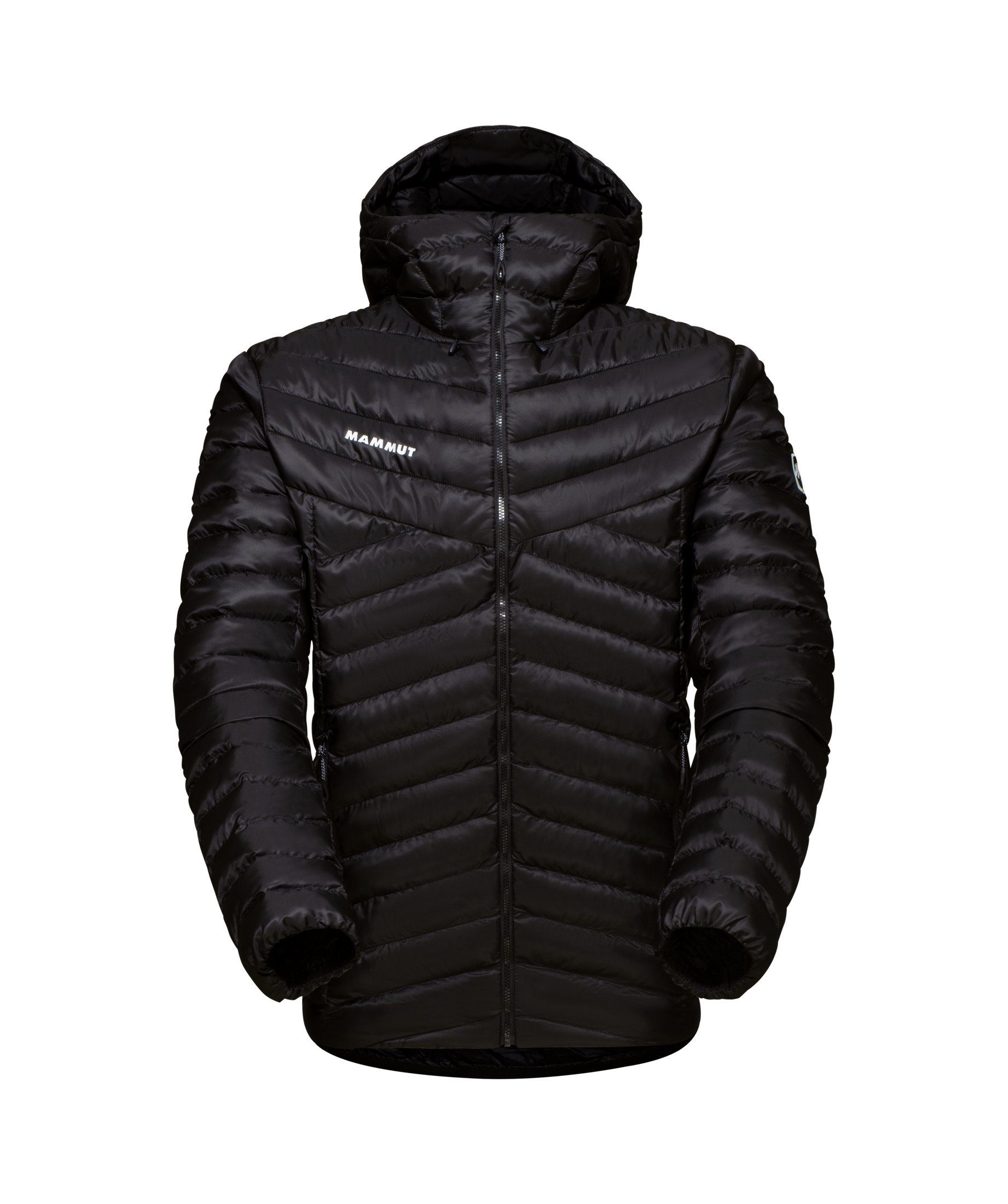 ein kleines reiches Geschenk Mammut Outdoorjacke Albula IN Hooded black Jacket Men