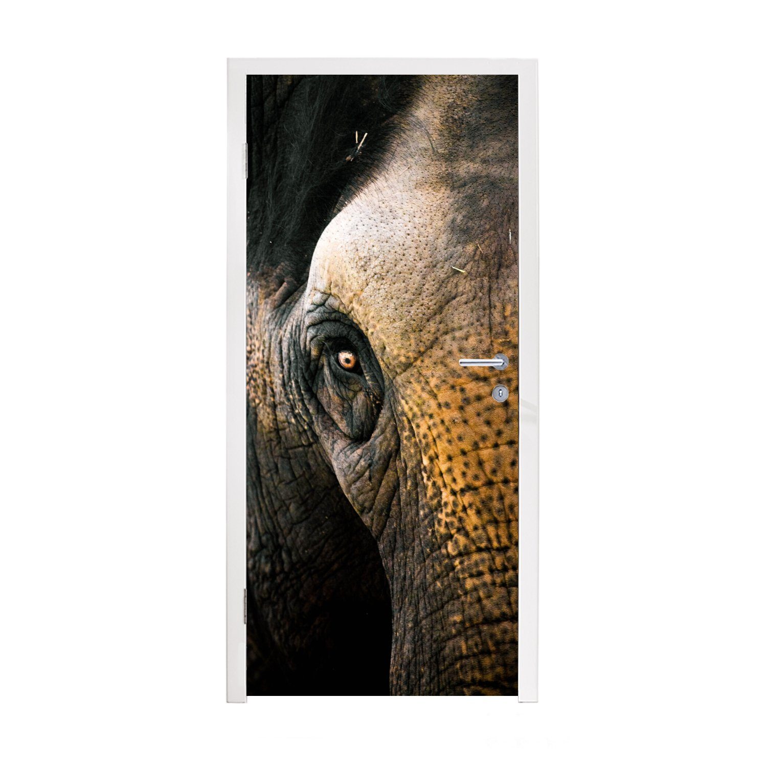 MuchoWow Türtapete Elefant - Nahaufnahme - Tiere - Natur, Matt, bedruckt, (1 St), Fototapete für Tür, Türaufkleber, 75x205 cm