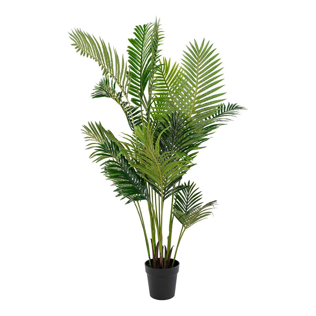 Kunstpflanze Palme Künstliche Palme H175 cm grün., ebuy24, Höhe 175 cm