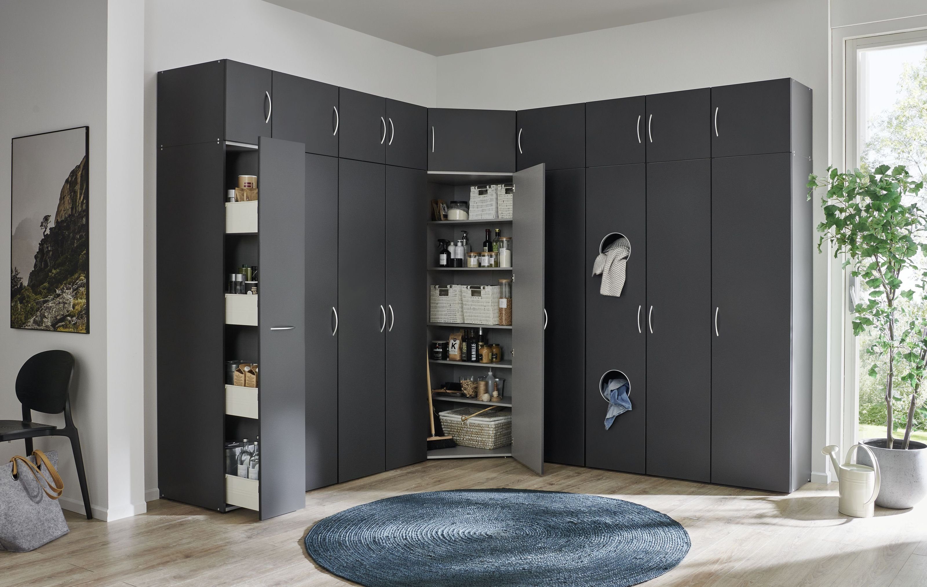 freiraum Mehrzweckschrank Multiraumkonzept 30 x 185 x 40 cm (B/H/T) günstig online kaufen