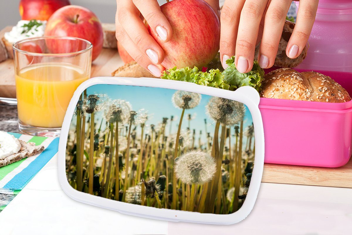 Brotdose Kunststoff, für Mädchen, Gras, Kunststoff Löwenzahn Snackbox, Erwachsene, - Kinder, Lunchbox MuchoWow (2-tlg), rosa Brotbox - Blumen