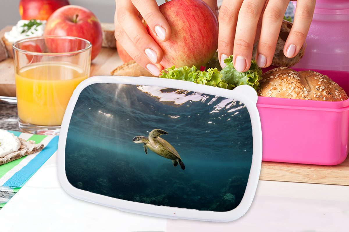 Brotdose Erwachsene, Kunststoff, rosa für Snackbox, (2-tlg), Mädchen, Schildkröte MuchoWow klaren im Wasser, Kinder, Brotbox Kunststoff Lunchbox