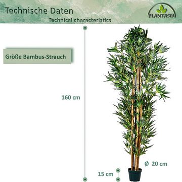 Kunstbaum Künstlicher Bambus Strauch Kunstbambus Deko Bambus Bambus, PLANTASIA, Höhe 160,00 cm, Echtholzstamm, Größenwahl von 160cm - 220 cm