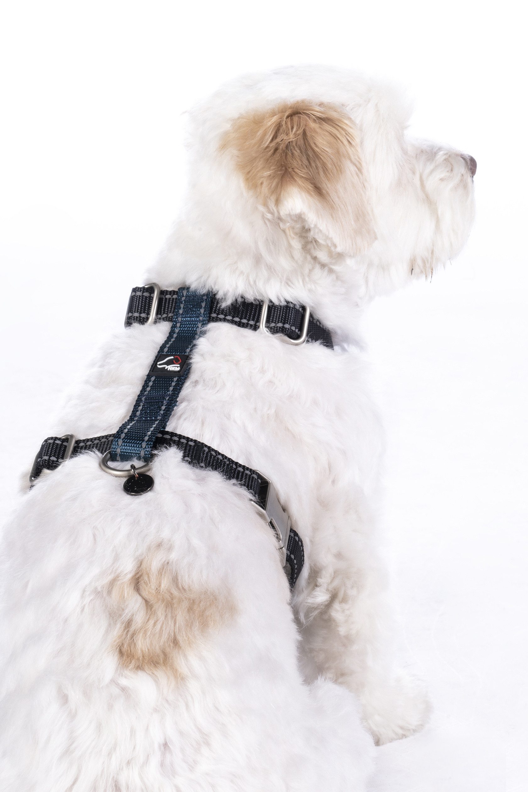 HKM Dogs Hunde-Geschirr Hundegeschirr -Anam Cara günstig online kaufen