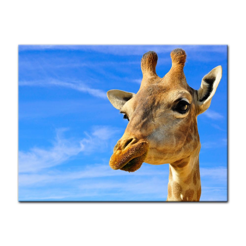 Leinwandbild Giraffe Afrika Handgemalt, 4-teilig, 100x70 Cm – Wanddeko Mit Galeriefeeling