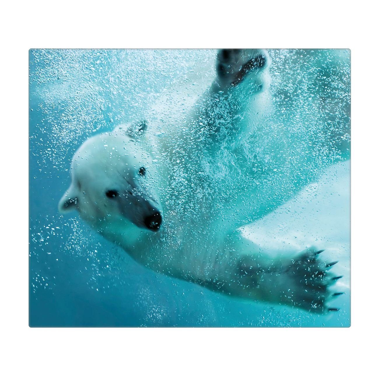 tlg., inkl. Gummifüßchen) (gehärtet, banjado selbstklebende 1 Tauchender Eisbär, Glas Herd-Abdeckplatte