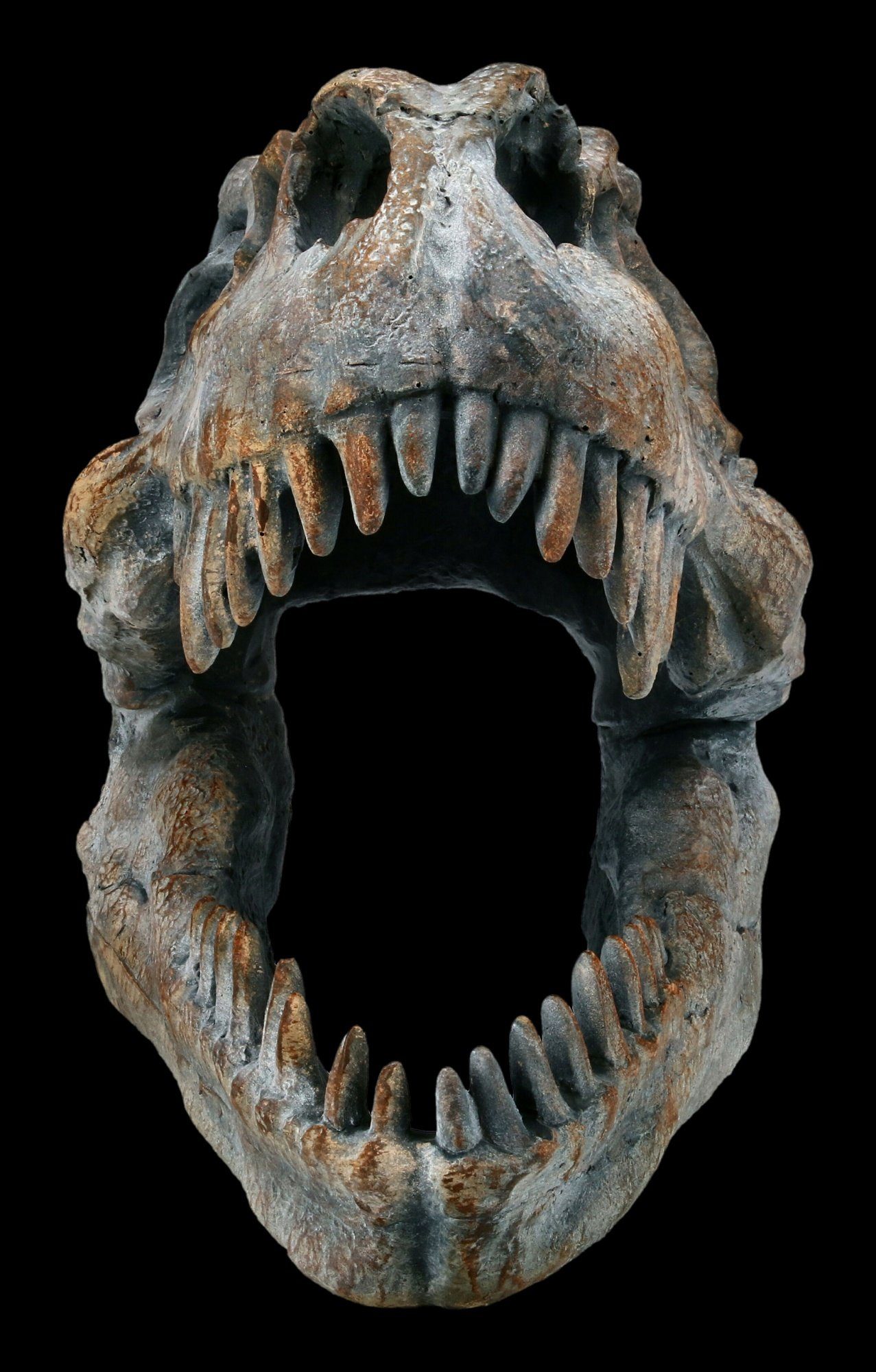 Figuren Shop GmbH Dekofigur Totenkopf - Tyrannosaurus Rex - klein - Deko T- günstig online kaufen