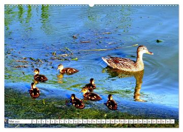 CALVENDO Wandkalender Heile Welt pur - Naturparadies Kurisches Haff (Premium, hochwertiger DIN A2 Wandkalender 2023, Kunstdruck in Hochglanz)