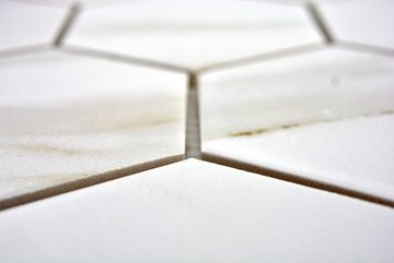 Mosani Mosaikfliesen Hexagonale Sechseck Mosaik Fliese Keramik weiß grau Calacatta Wand