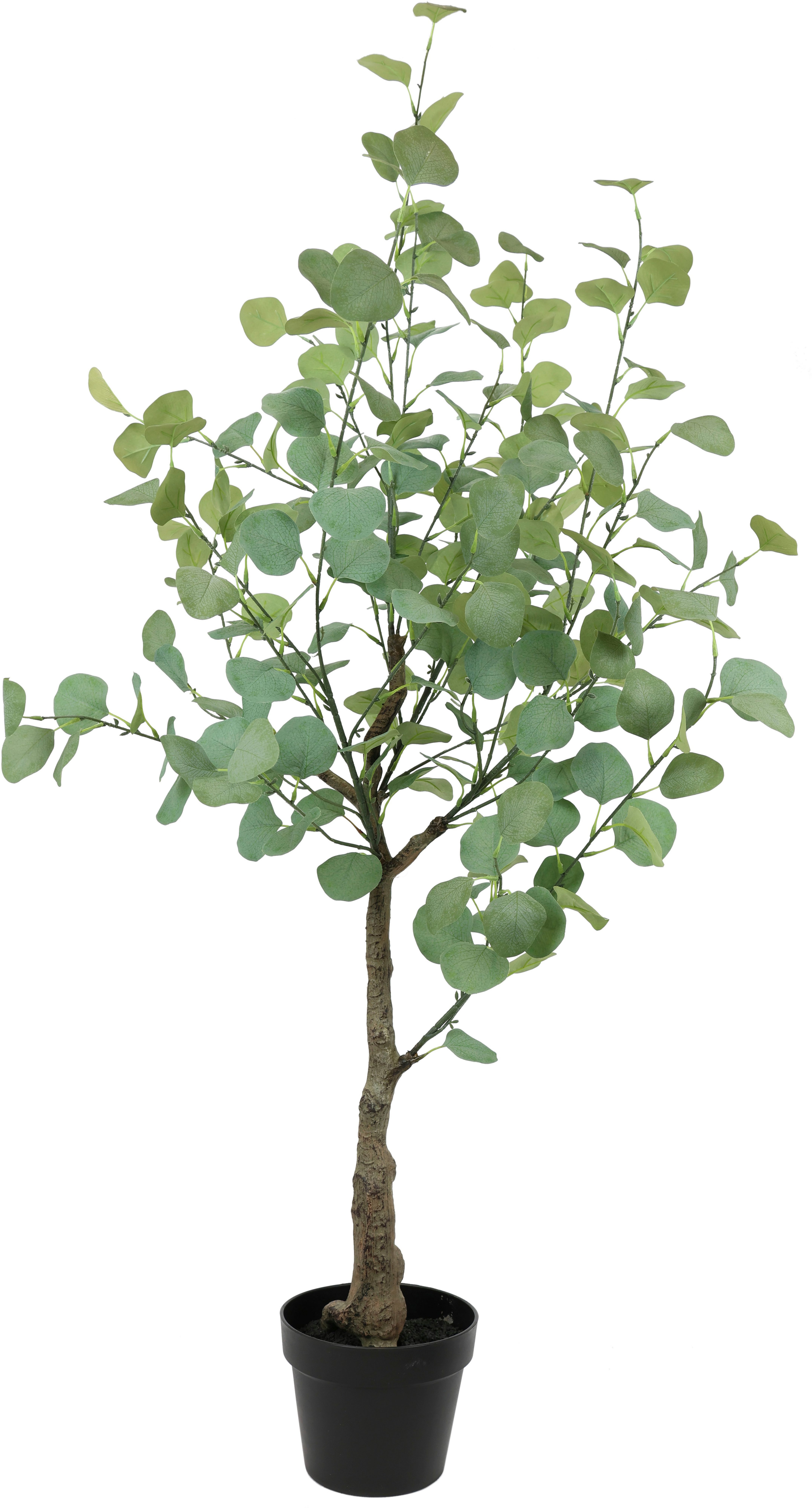 125 Eukalyptus Kunstbaum Kunstblume Deko Silber Künstlich cm, Höhe Blätter Grünpflanzen Kunstpflanze Topf Busch, im I.GE.A., Dollar Strauch Pflanze
