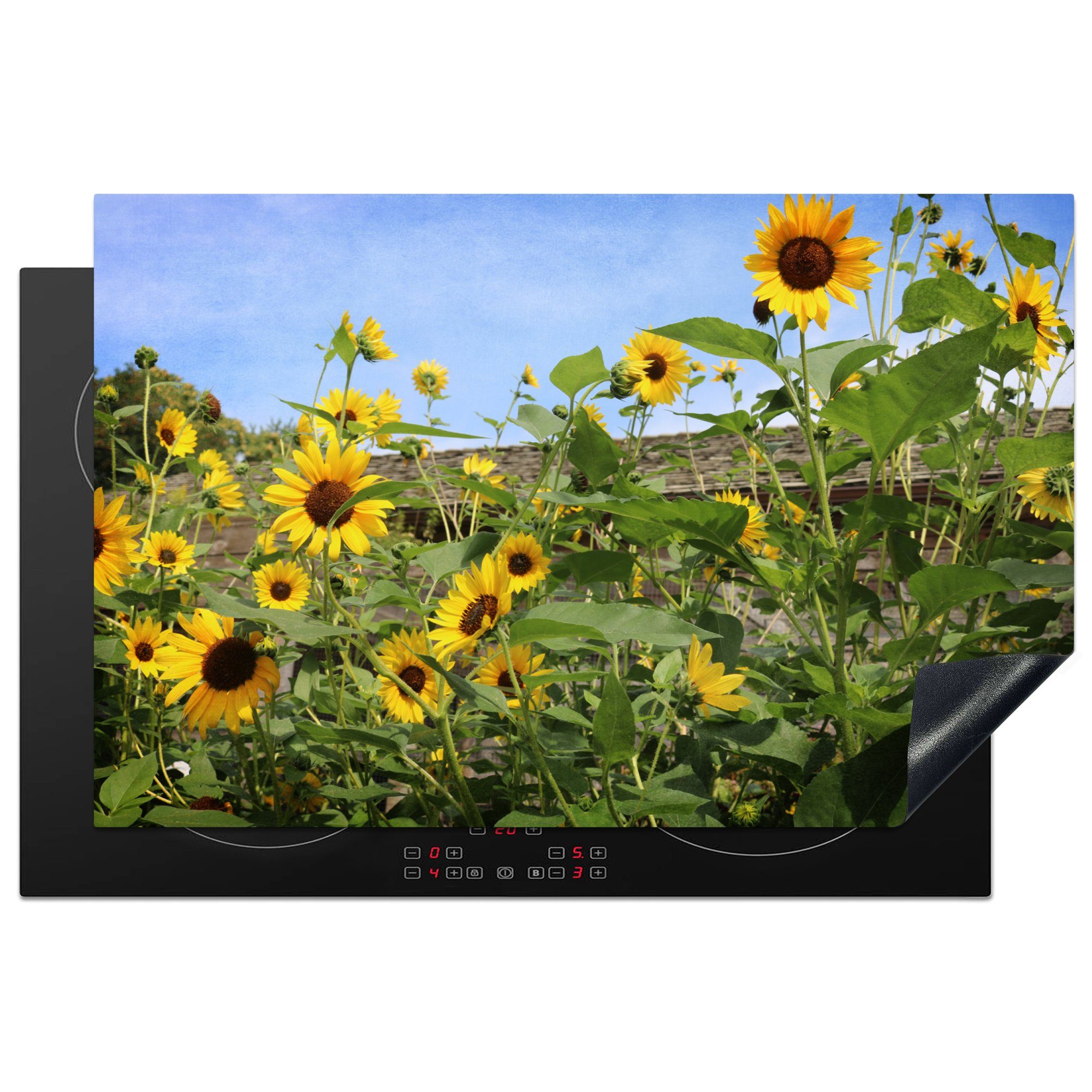 MuchoWow Herdblende-/Abdeckplatte Sonnenblumen - Garten - Himmel, Vinyl, (1 tlg), 81x52 cm, Induktionskochfeld Schutz für die küche, Ceranfeldabdeckung