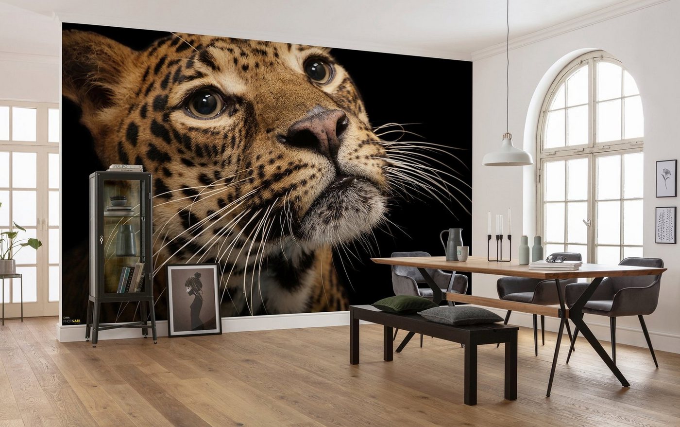 Komar Vliestapete »Javan Leopard«, glatt, bedruckt, realistisch, (8 St), 400 x 280 cm (Breite x Höhe) - 8 Bahnen-HomeTrends
