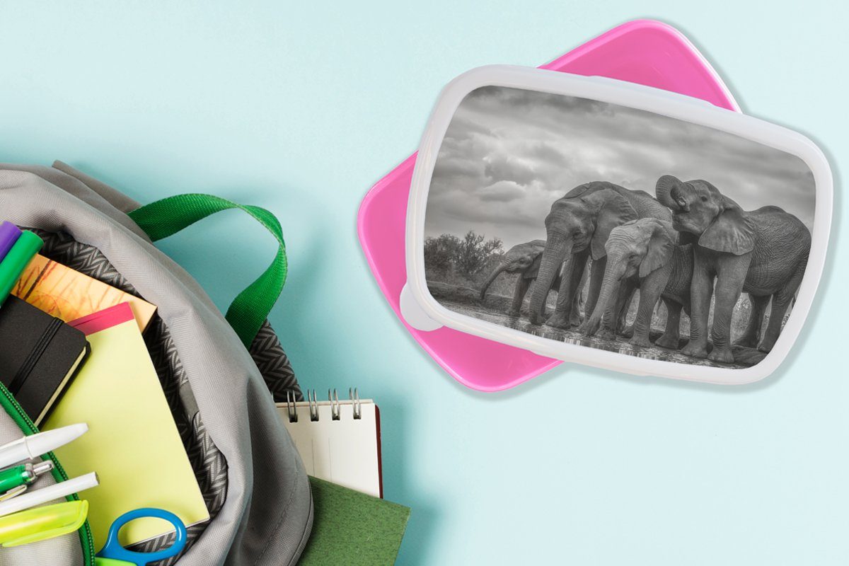 MuchoWow Lunchbox Elefant Schwarz Erwachsene, Tiere weiß, Kunststoff, Kunststoff für Brotdose Mädchen, und Kinder, - (2-tlg), Brotbox rosa Wasser - - Snackbox