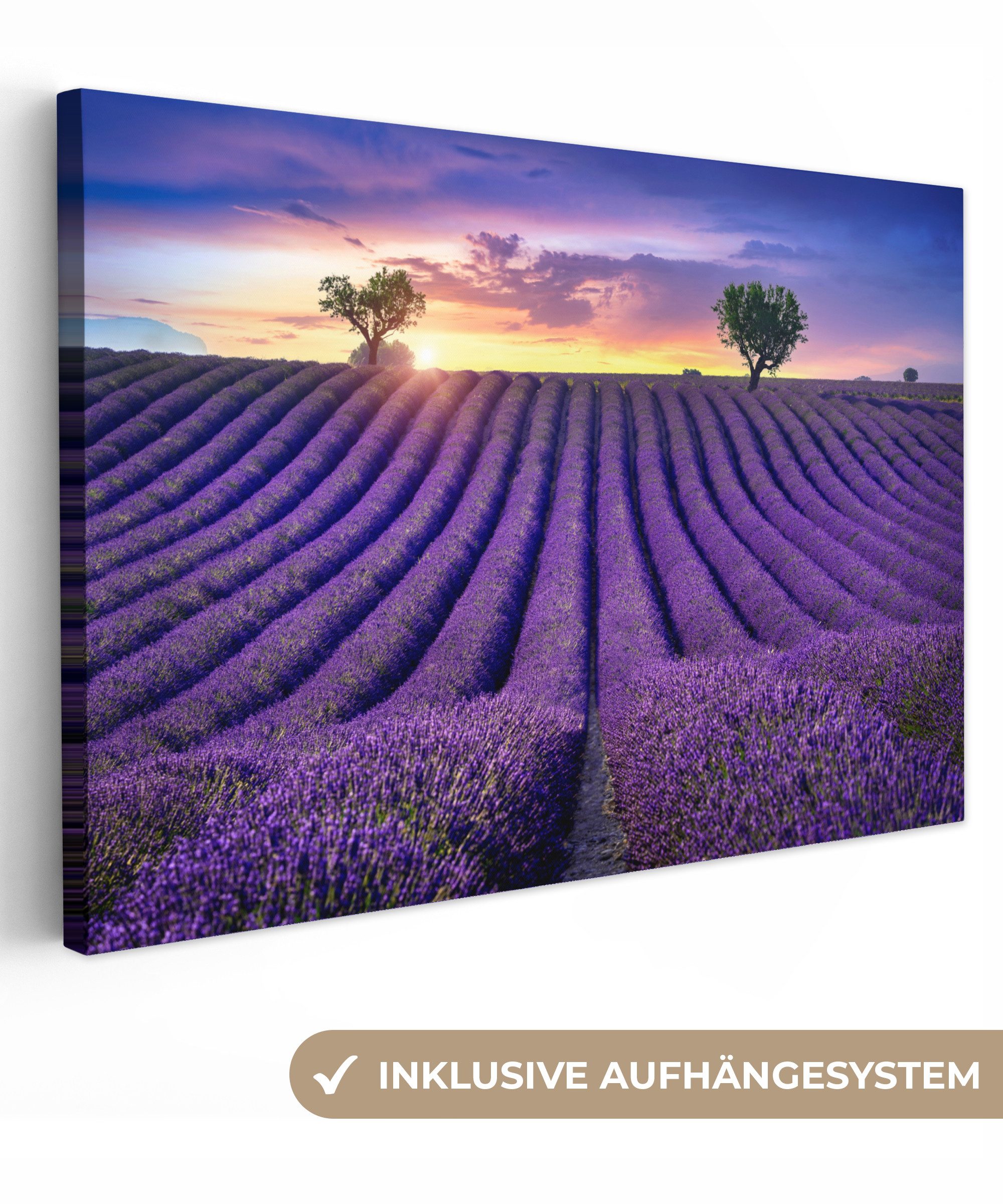 OneMillionCanvasses® Leinwandbild Lavendel - Hügel - günstig online kaufen