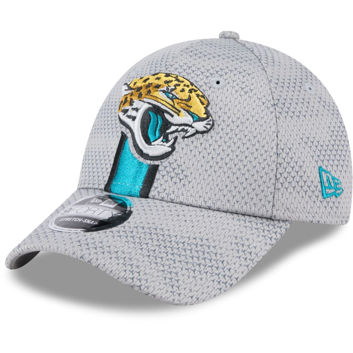 Flex Cap 9Forty Stretch NFL SIDELINE 2024