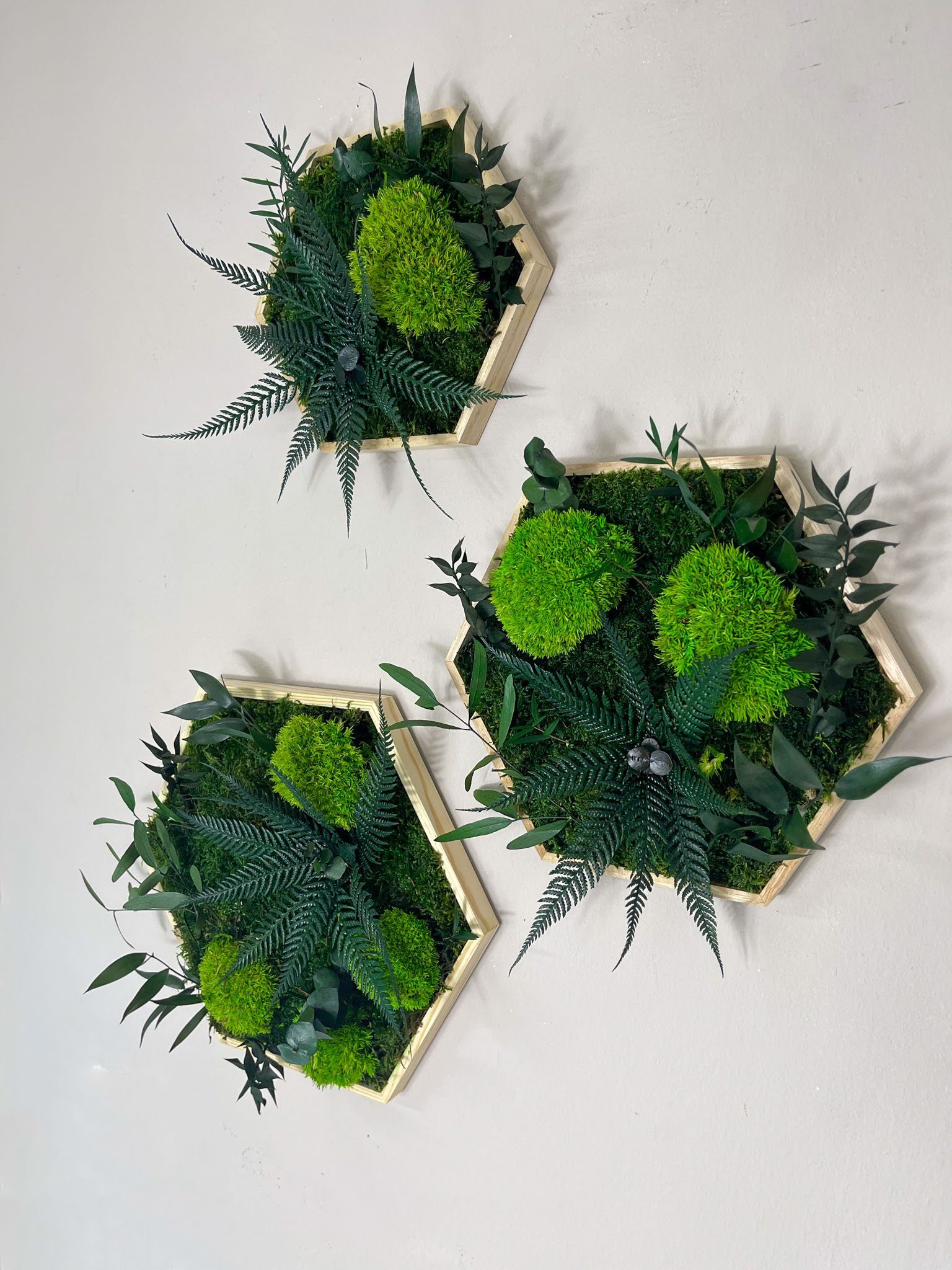 Gedankenwunder Manufaktur Bild Kleine Dschungelblume & Pflanzen Moosbild Hexagon Sechseck Holzrahmen