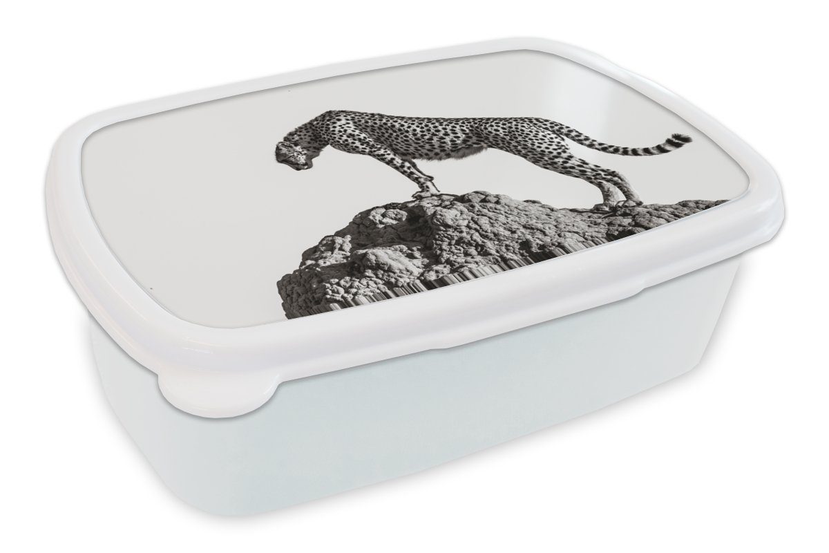 und Lunchbox Raubtier Panther MuchoWow Jungs - Kinder für weiß für Mädchen Kunststoff, Tiere und - Natur, Brotbox Brotdose, (2-tlg), - Erwachsene,