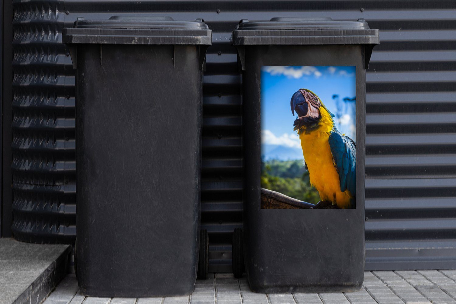 MuchoWow Wandsticker Vogel - Papagei - Mülltonne, St), Gelb (1 Abfalbehälter Container, Sticker, Mülleimer-aufkleber