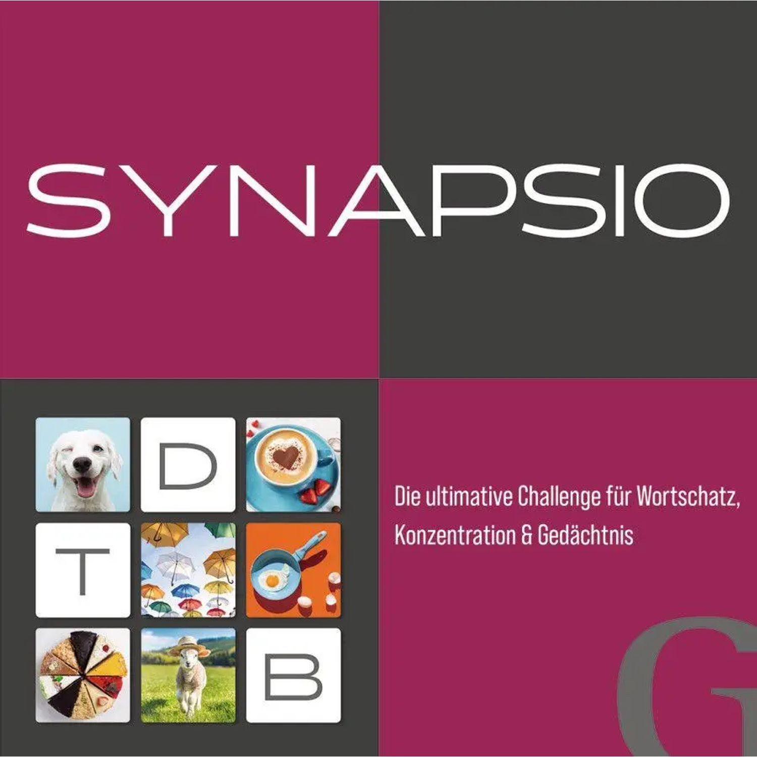 Hueber Verlag Spiel Synapsio