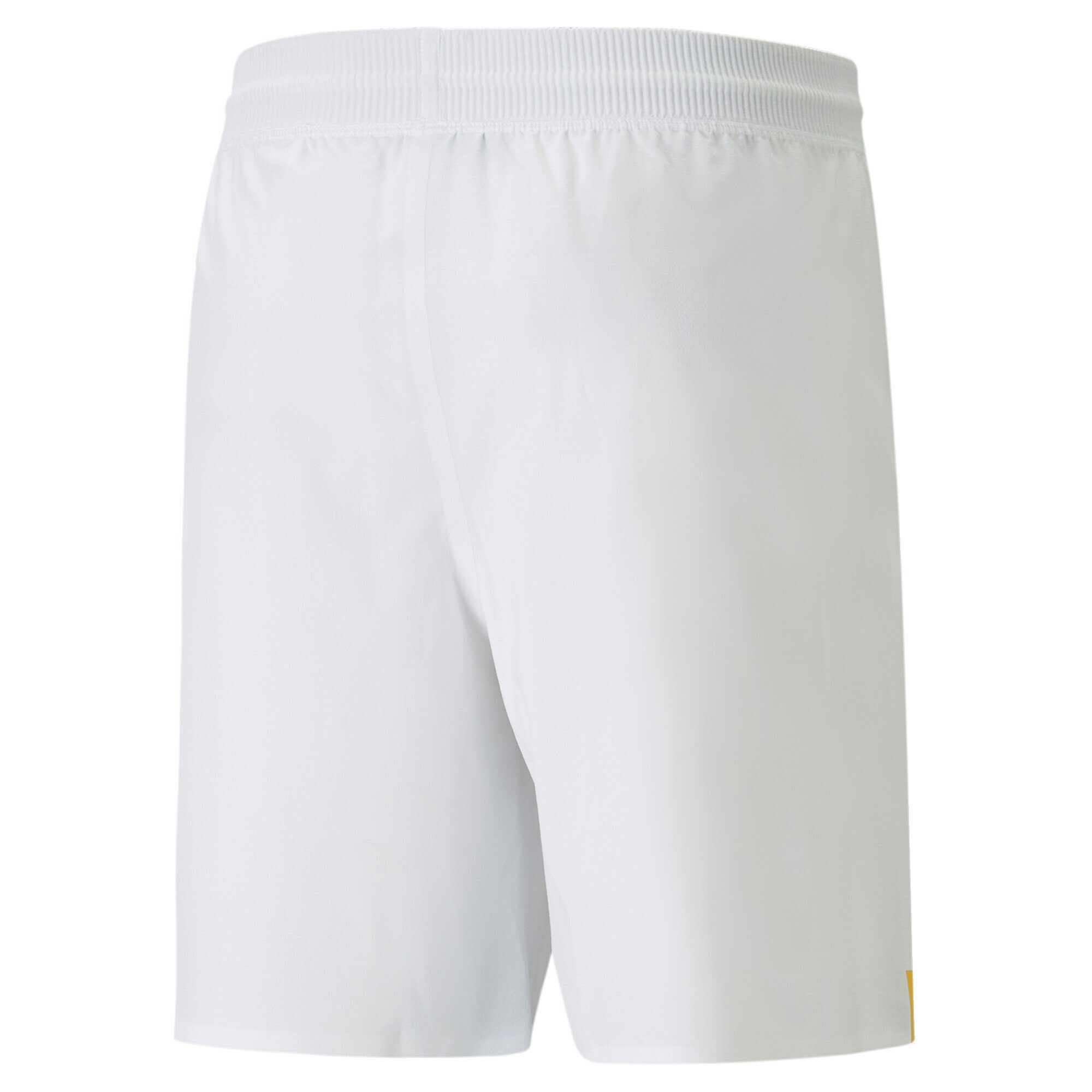 Shorts PUMA 22/23 Ghana Shorts Promo Herren