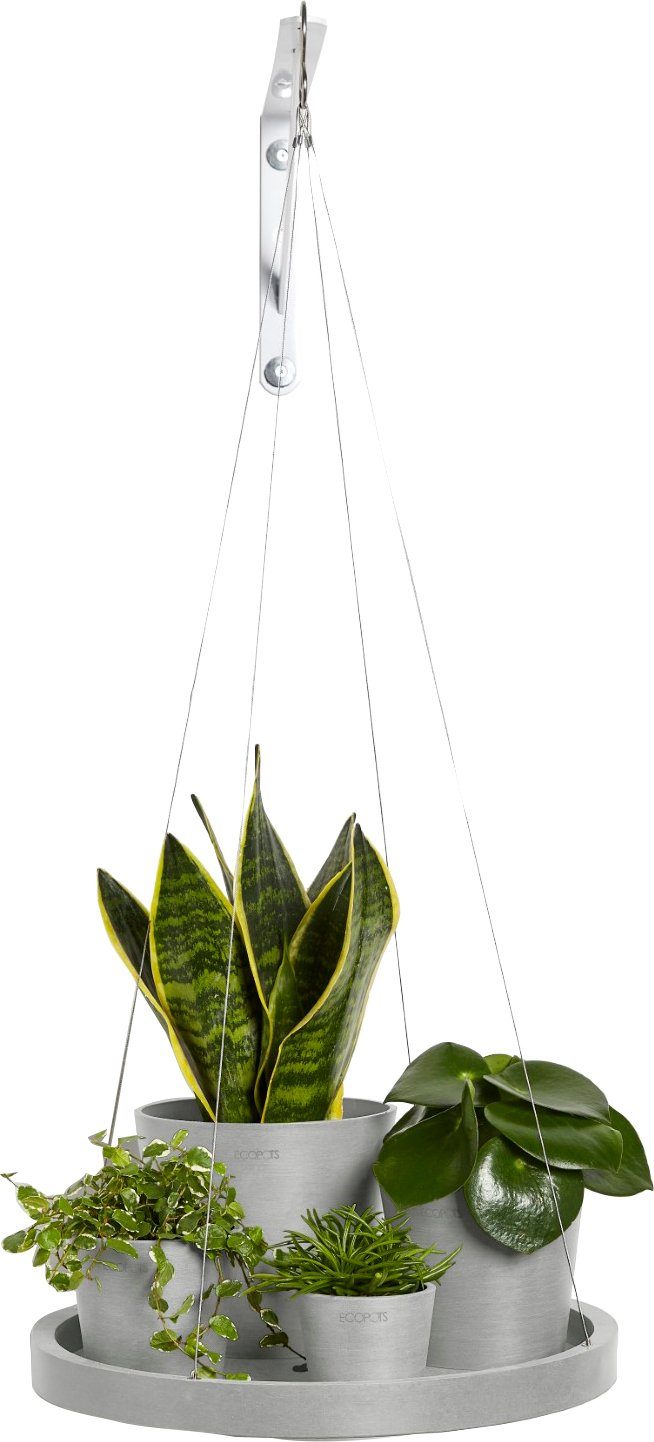 HANGING BxTxH: cm Grey, SAUCER 36x36x3 White Blumentopfuntersetzer ECOPOTS