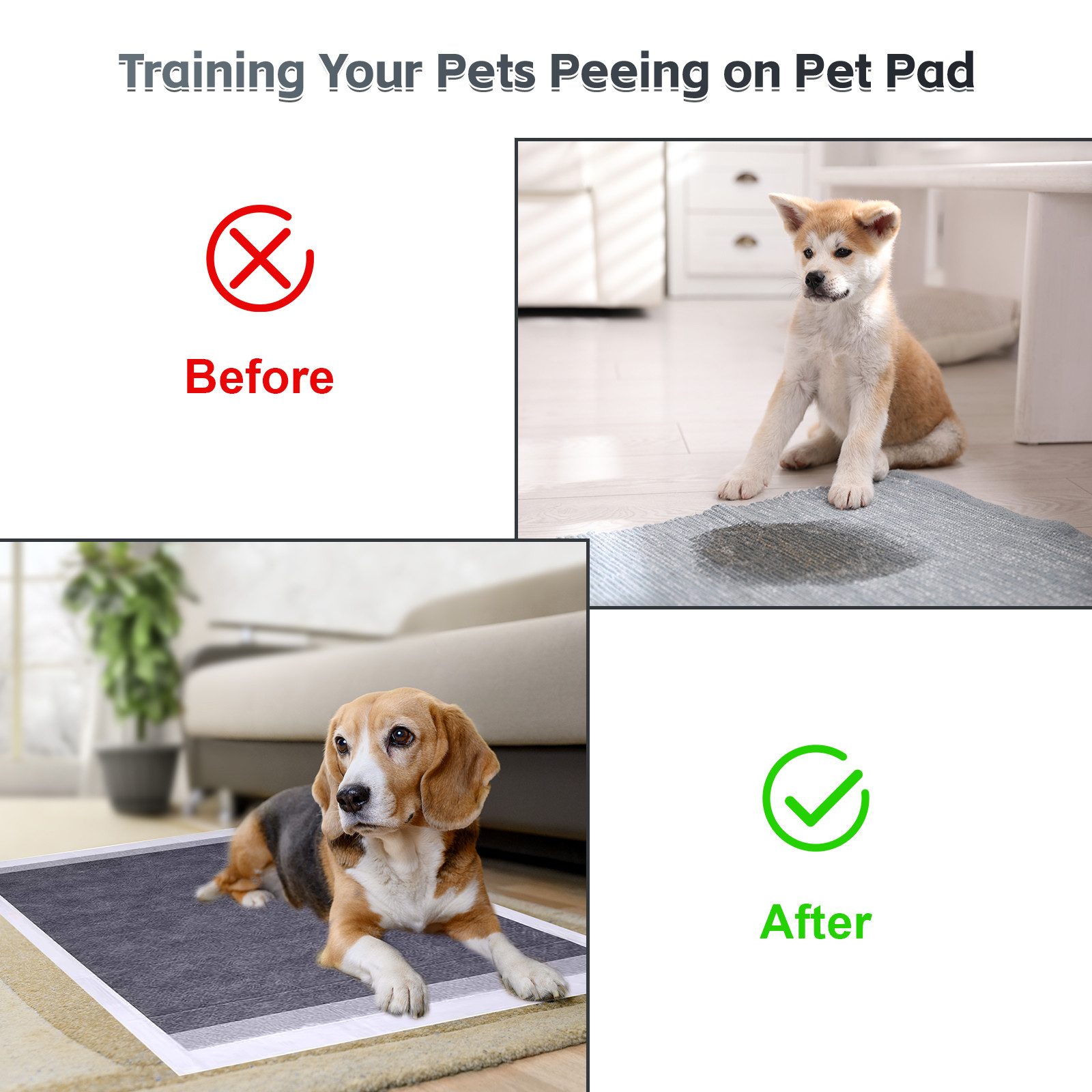 NANIPETS Hundematte Trainingspad für Hunde Welpenunterlagen, Superabsorbierendes & Auslaufsichere Aktivkohle-Hunde-PIPI-Pads, 60 x 60 cm Extra Große Pet Pads, Packung mit 40