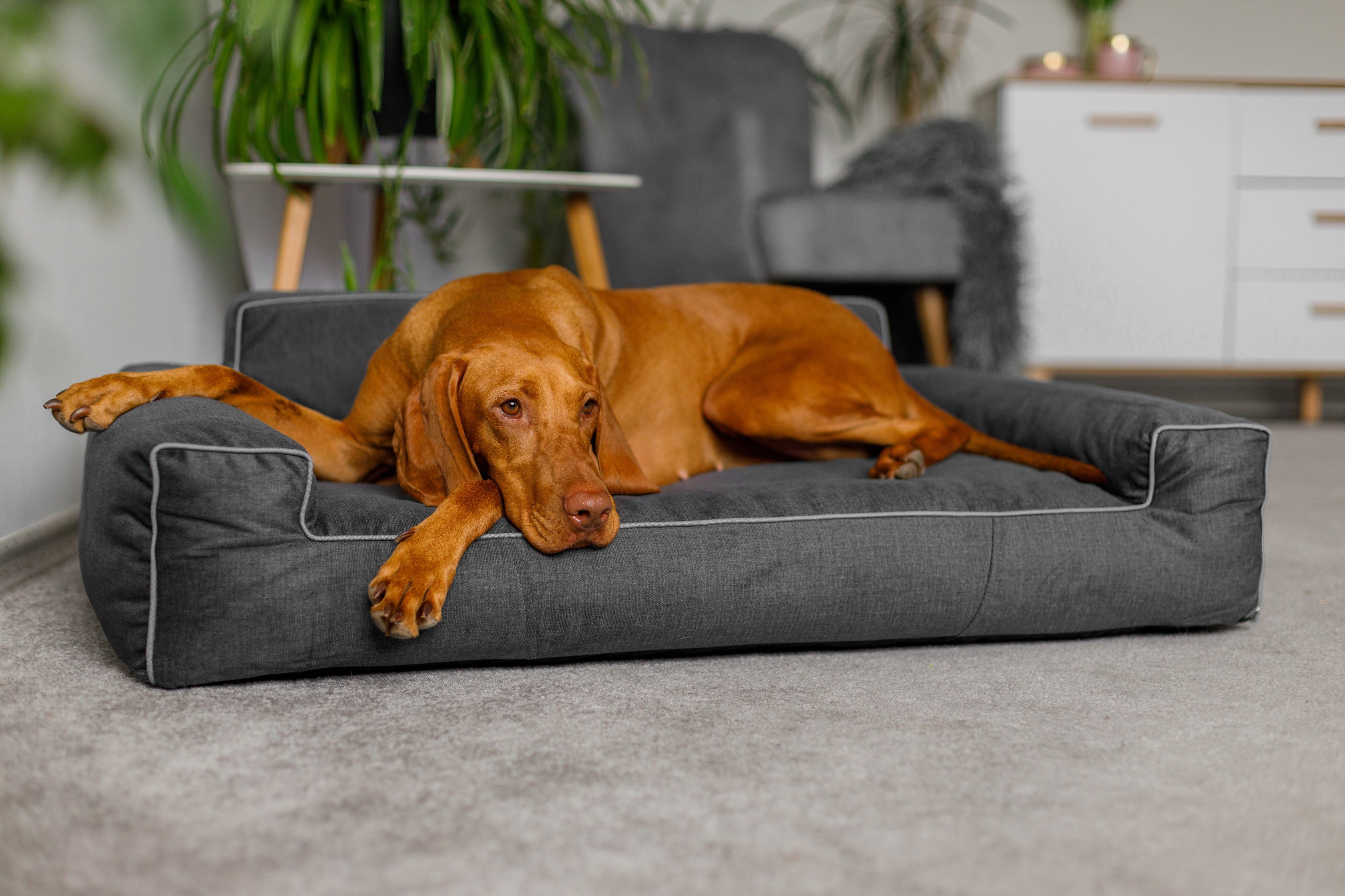 Bjird Tierbett Hundebett LUNA Fancy, Bezug günstig online kaufen