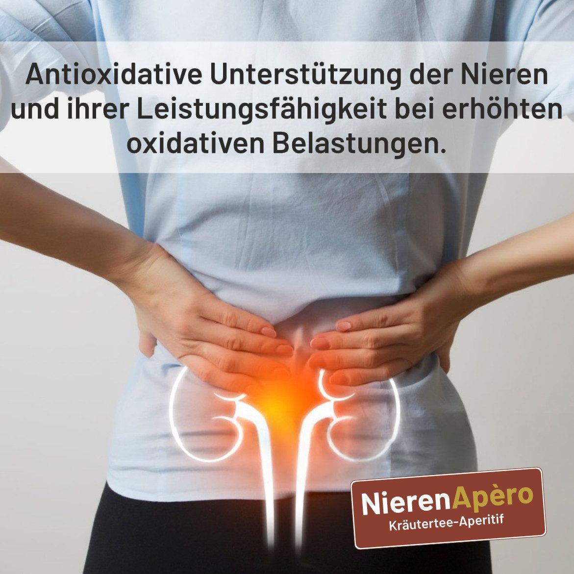 naturalplace® NierenApèro - Kräuteraperitif zur Unterstützung der Nierengesundheit -Tropfen, 500 ml, mit Goldrutenkraut-, Bärentrauben-, Ortosiphonblätter, Zinnkraut