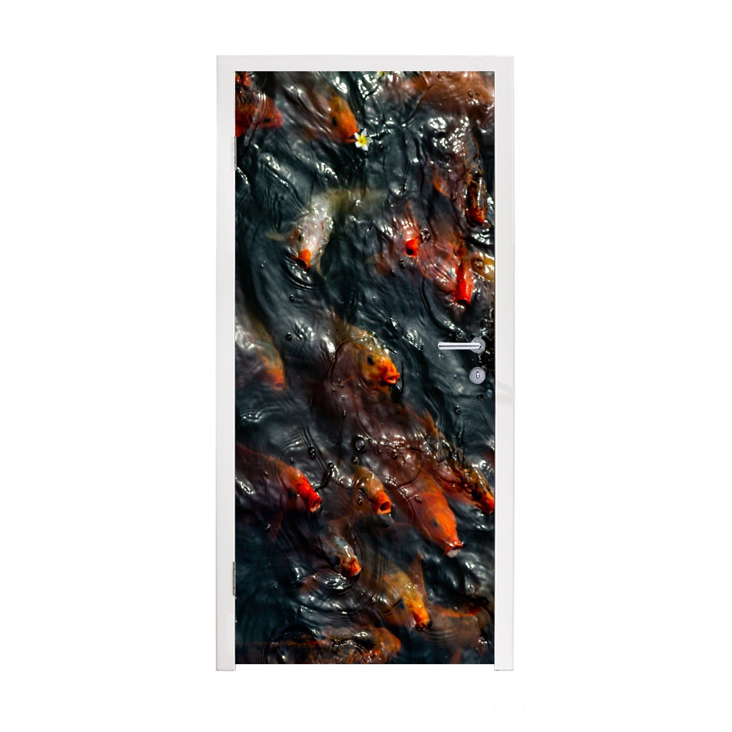 MuchoWow Türtapete Ein Teich mit einer großen Gruppe von Koi-Karpfen, Matt, bedruckt, (1 St), Fototapete für Tür, Türaufkleber, 75x205 cm
