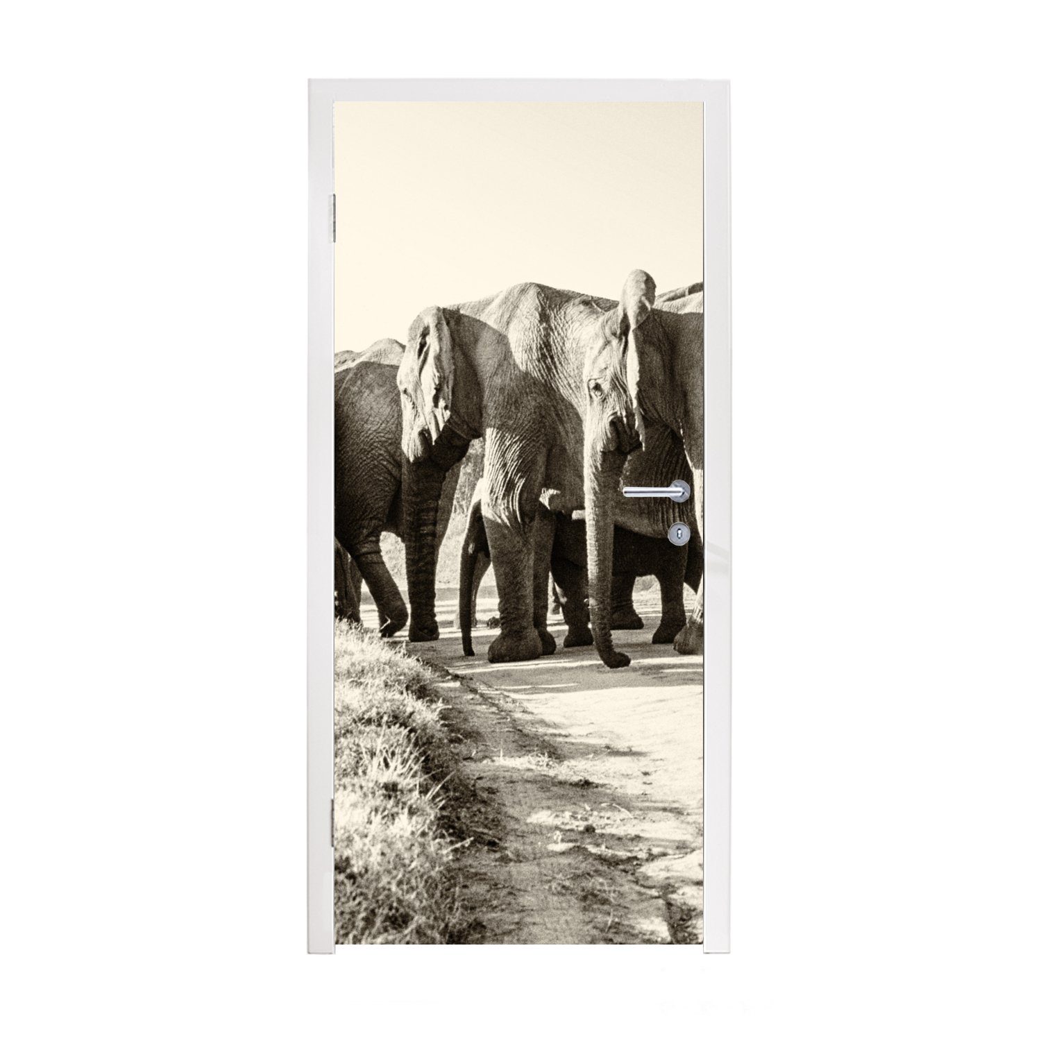 MuchoWow Türtapete Afrikanische Elefanten Sepia-Fotodruck, Matt, bedruckt, (1 St), Fototapete für Tür, Türaufkleber, 75x205 cm