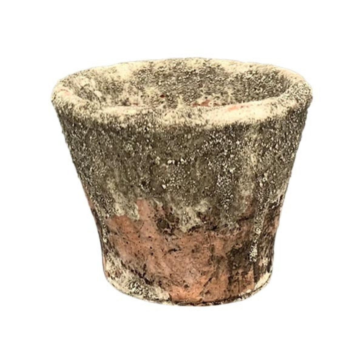 finehomegarden Blumentopf Harz Topf Zement MOOLA Übertopf terra/grün Pflanzgefäß Shappy (1 St), Antik Blumentopf H7,5cm+H12cm+H12,5cm 3Größen wählbar