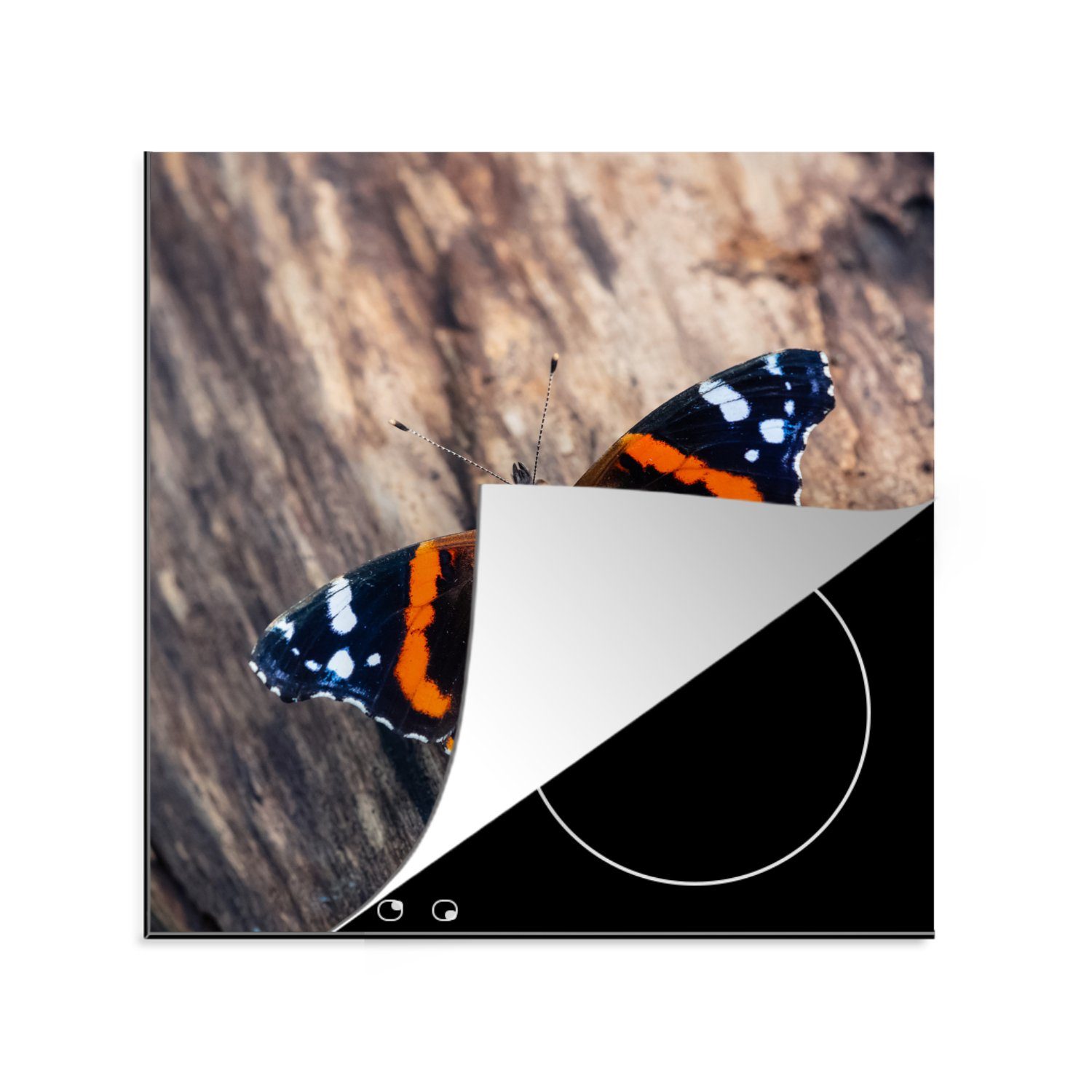 MuchoWow Herdblende-/Abdeckplatte Admiral Schmetterling auf einem Baumstamm, Vinyl, (1 tlg), 78x78 cm, Ceranfeldabdeckung, Arbeitsplatte für küche