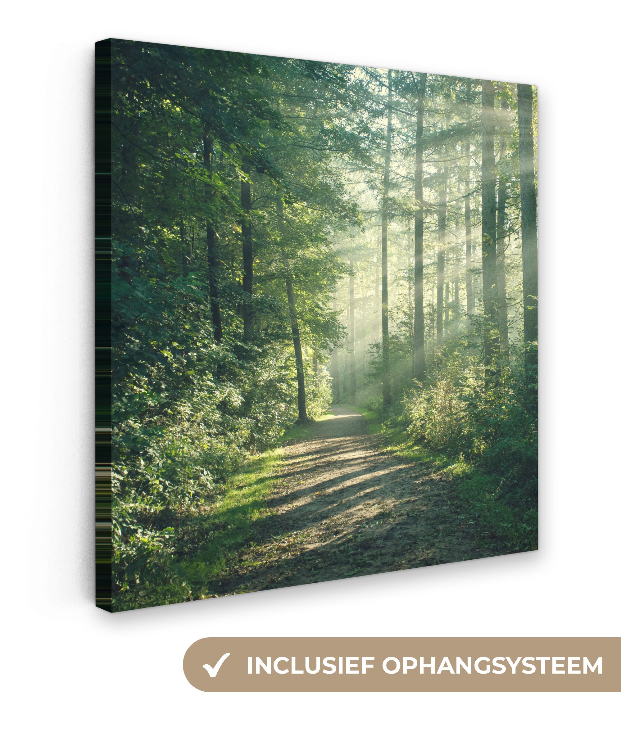 OneMillionCanvasses® Leinwandbild Wald - Weg - Sonne - Bäume - Grün - Natur, Fotodruck (1 St), Wandbild, Deko Schlafzimmer Wohnzimmer Flur 20x20 cm