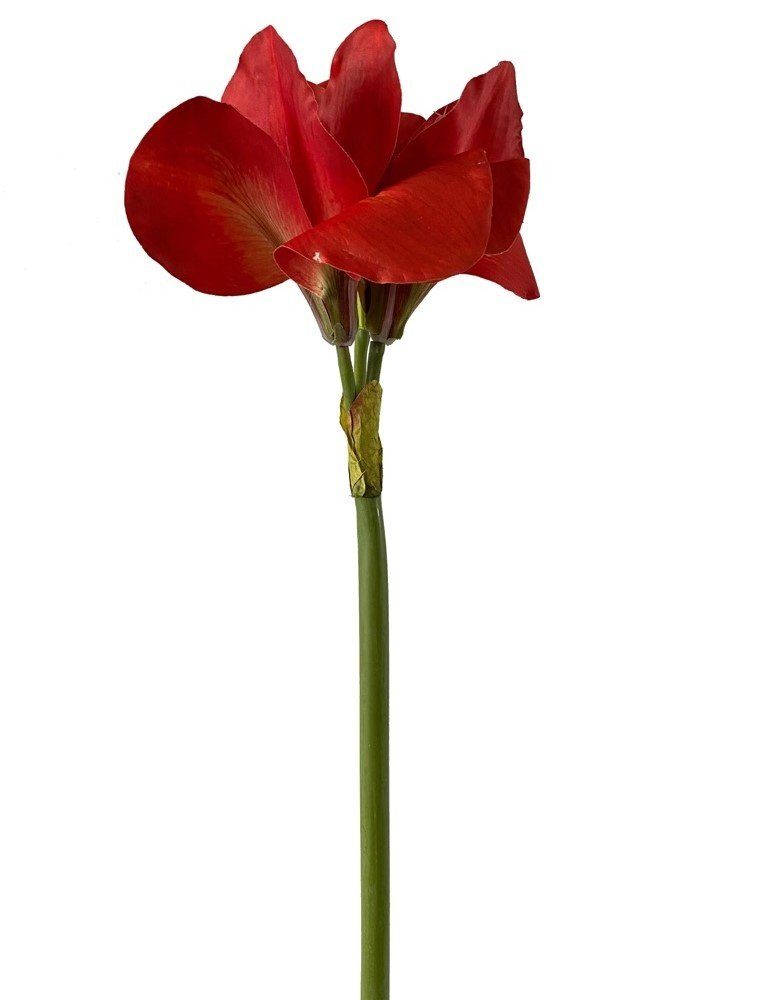 Amaryllis künstlich, wirkende echt 2474U, Höhe täuschend echt 70 Blätter naturgetreu, *Edle Seidenblüte Kunstblume (Hippeastrum), täuschend cm, und Ritterstern Stielblume,