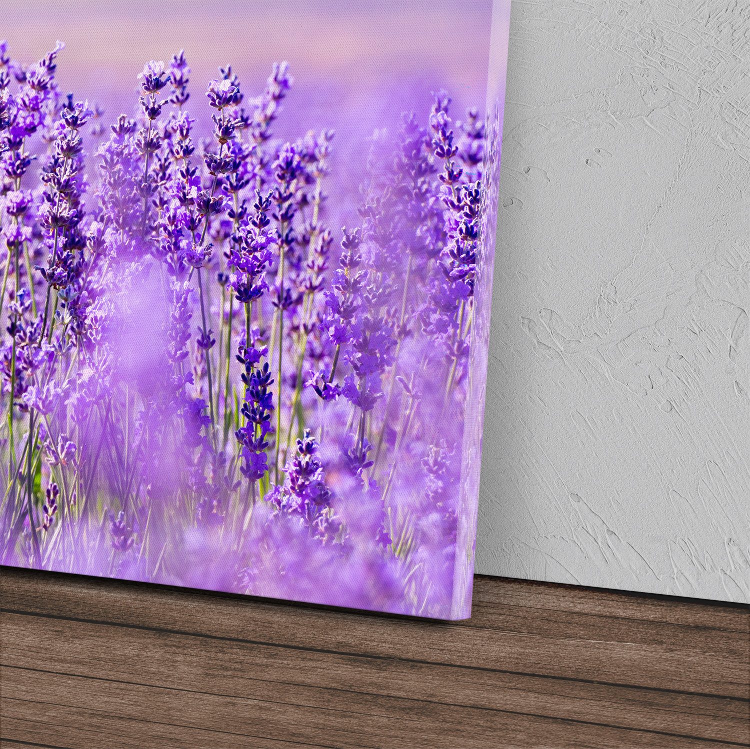 Sinus Art Leinwandbild 120x80cm Wandbild auf Leinwand Lavendel Lavendelfeld Violett Blumen So, (1 St)