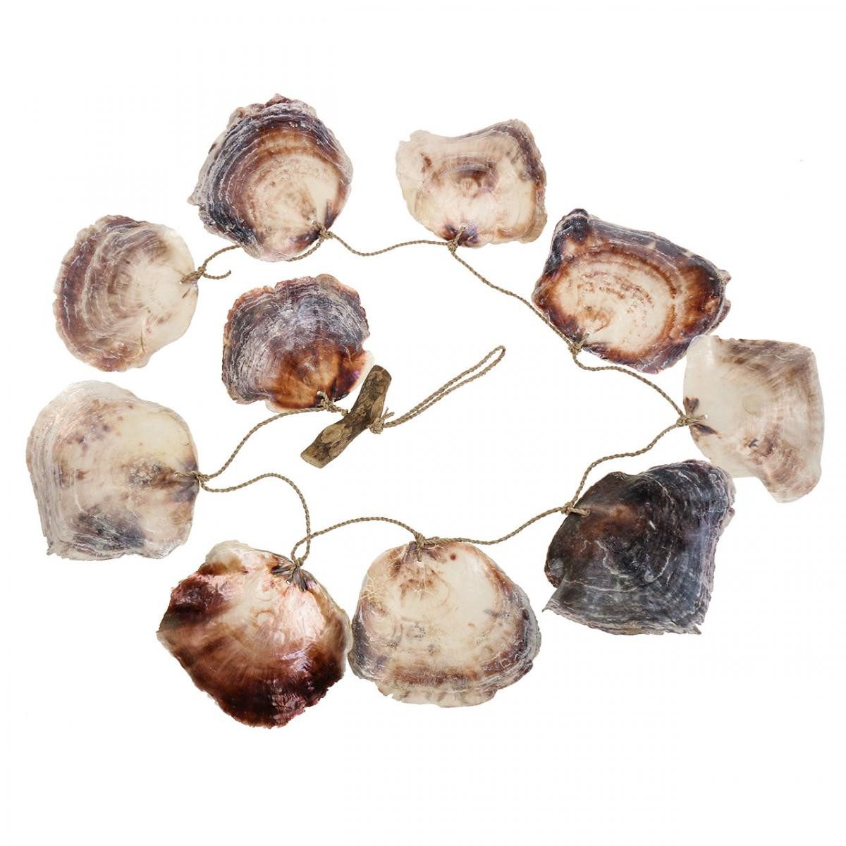 Kaemingk Bastelnaturmaterial Maritime Muschelgirlande Natur Deko, 150cm, Capiz-Muscheln mit