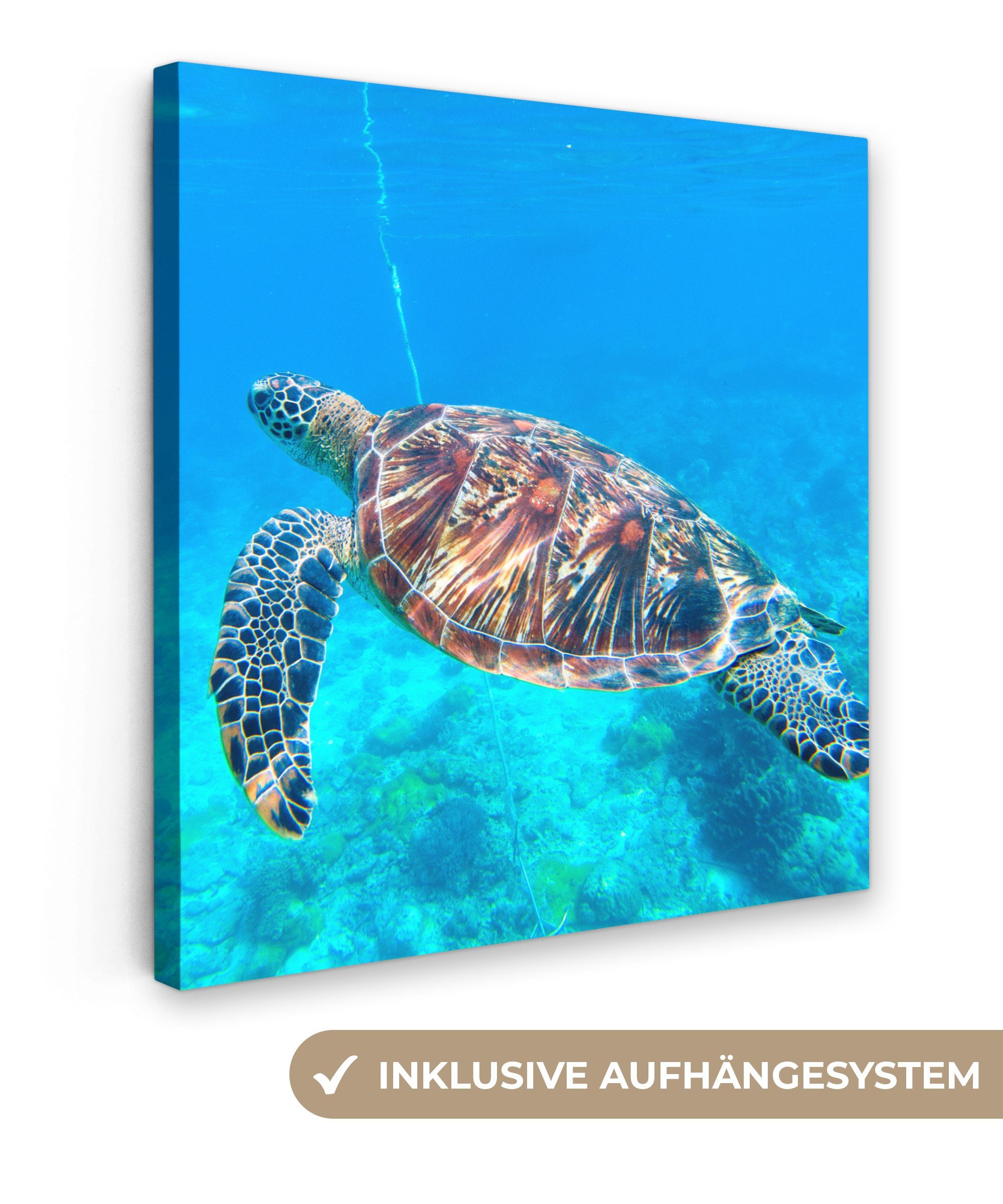 OneMillionCanvasses® Leinwandbild Meer - Schildkröte - Wasser, (1 St), Leinwand Bilder für Wohnzimmer Schlafzimmer, 20x20 cm