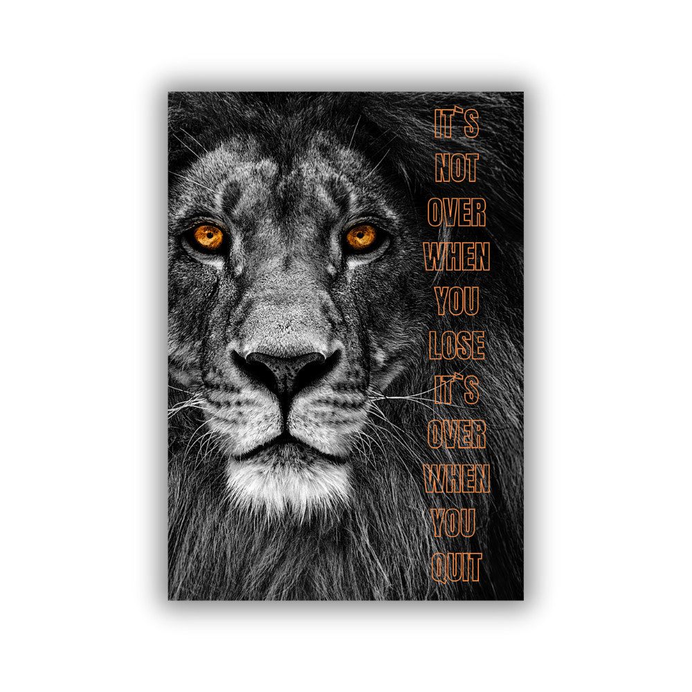 dixtime Wanddekoobjekt Premium Alu-Dibond Wandbild Löwe "orange eyes" – sofort aufhängbereit, sofort aufhängebereit