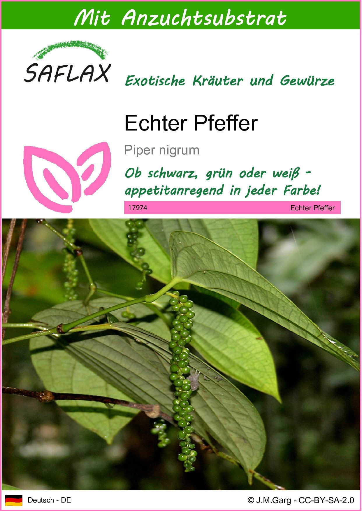 SAFLAX Kräutersamen SAFLAX - Samen und Substrat - Echter Pfeffer