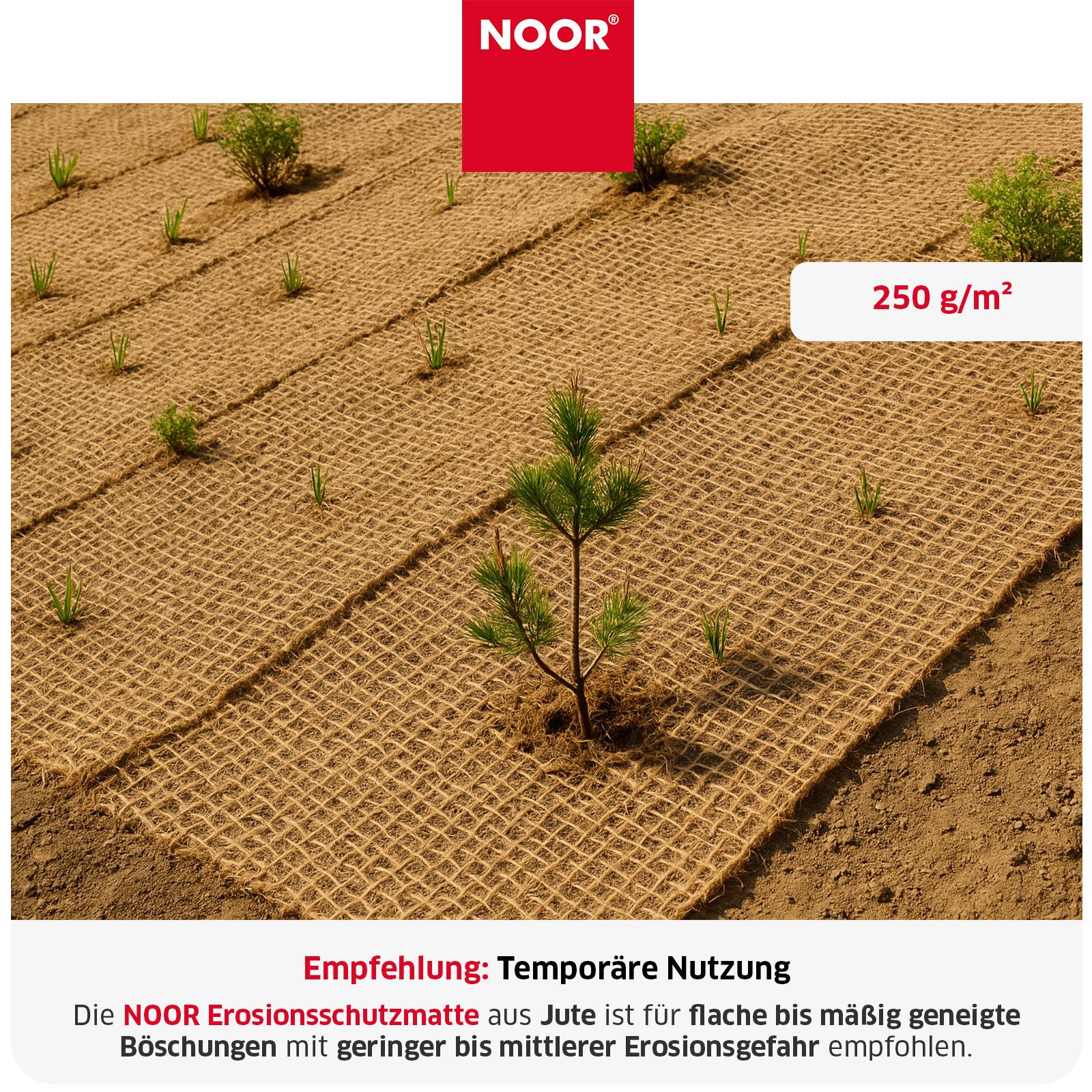 NOOR Schutznetz Erosionsschutzmatte, BxL: 1,22x50 m, Erosionsschutzmatte JUTE und KOKOS zum Schutz der Gartenlandschaft