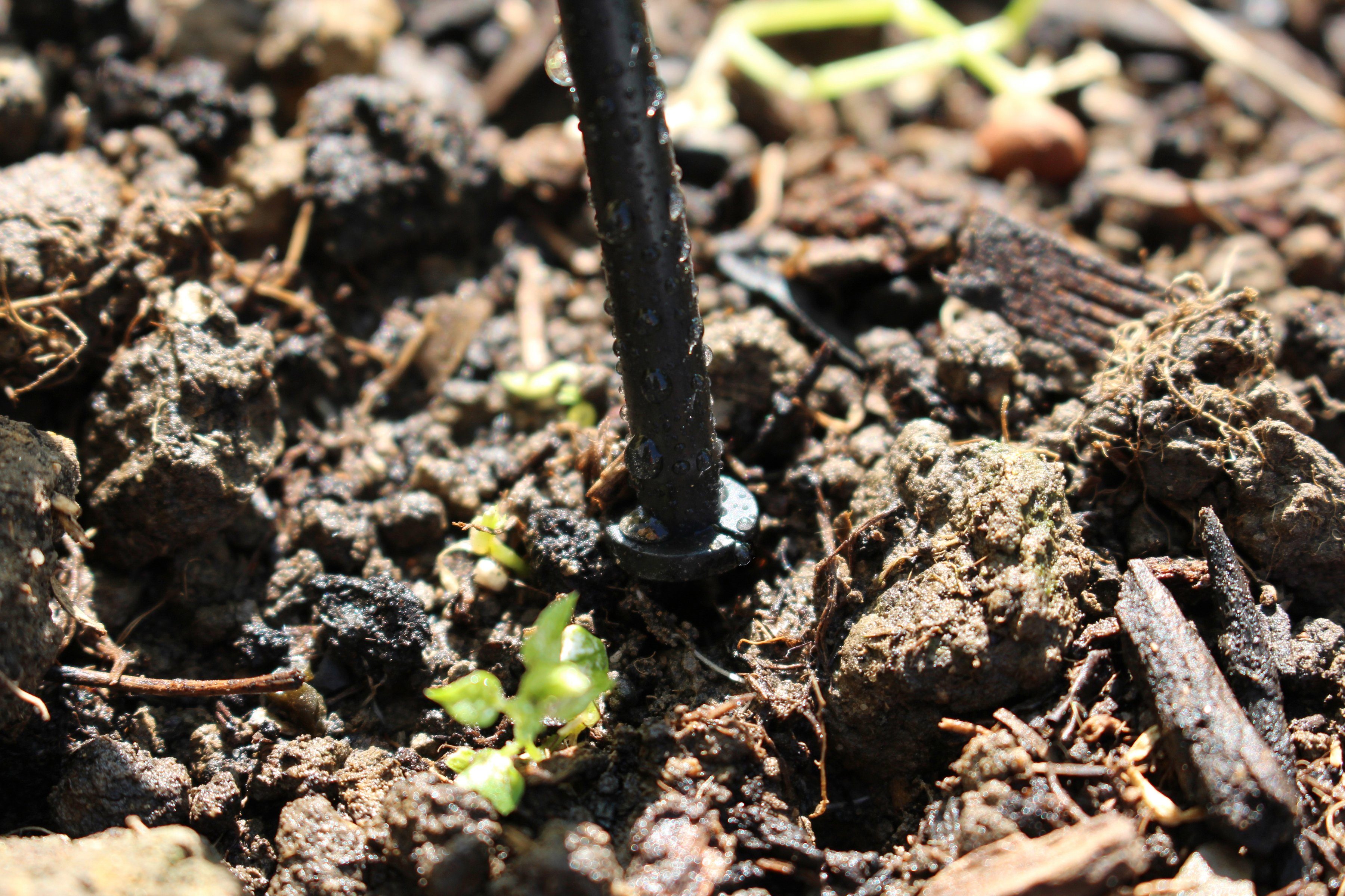 Vitavia Bewässerungssystem RWK50, Regentonnenset 50 Tropfer