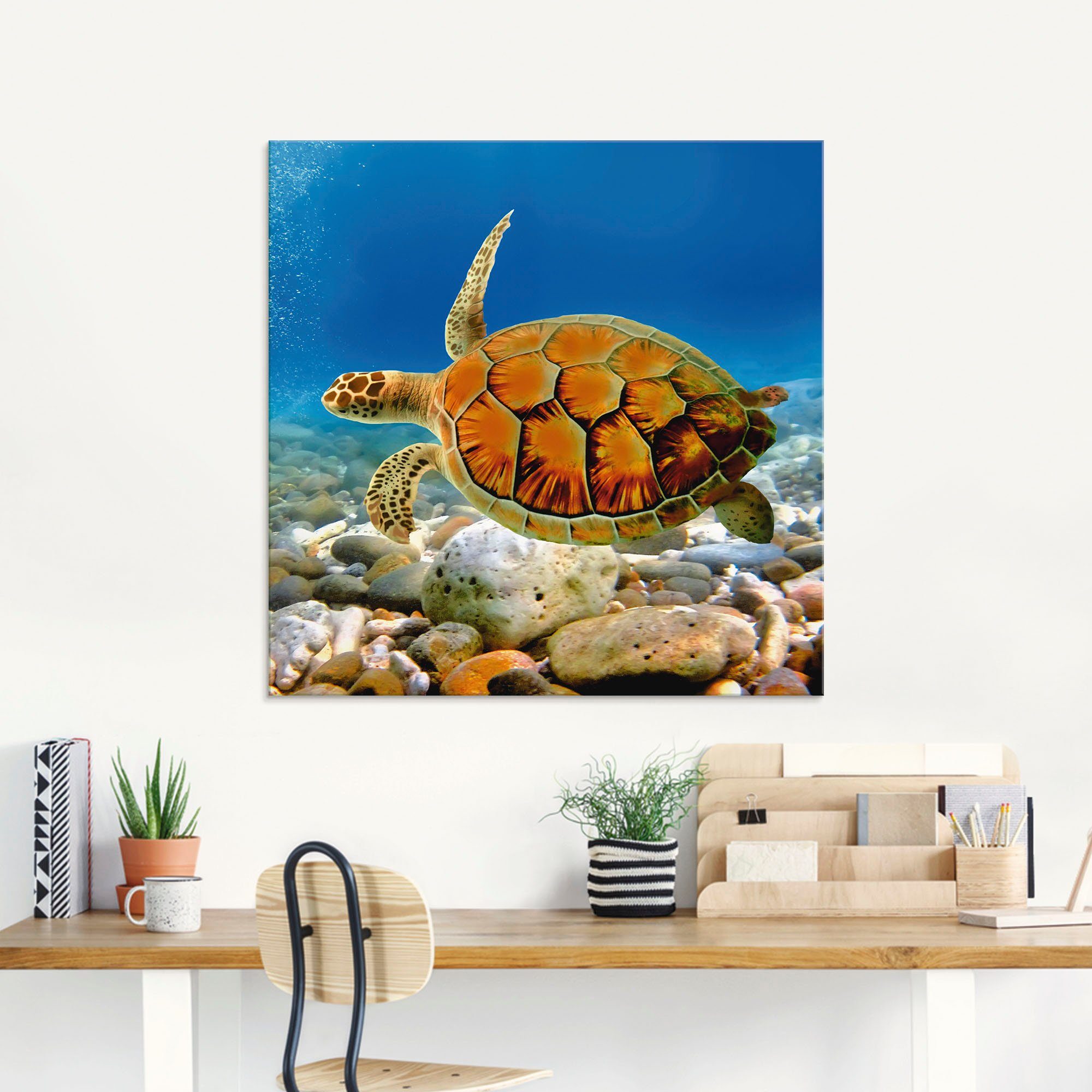 verschiedenen St), in Größen Glasbild Artland Schildkröte, Wassertiere (1