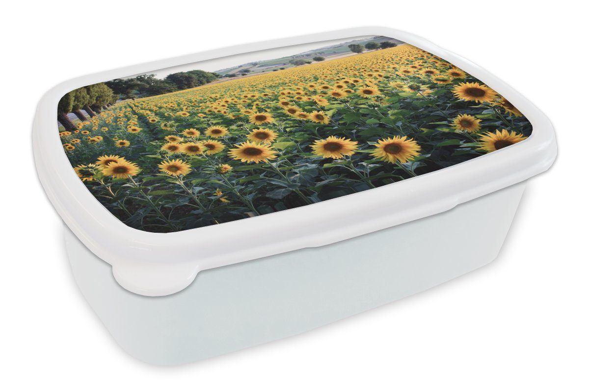 MuchoWow Lunchbox Sonnenblume - Hügel - Frühling, Kunststoff, (2-tlg), Brotbox für Kinder und Erwachsene, Brotdose, für Jungs und Mädchen weiß