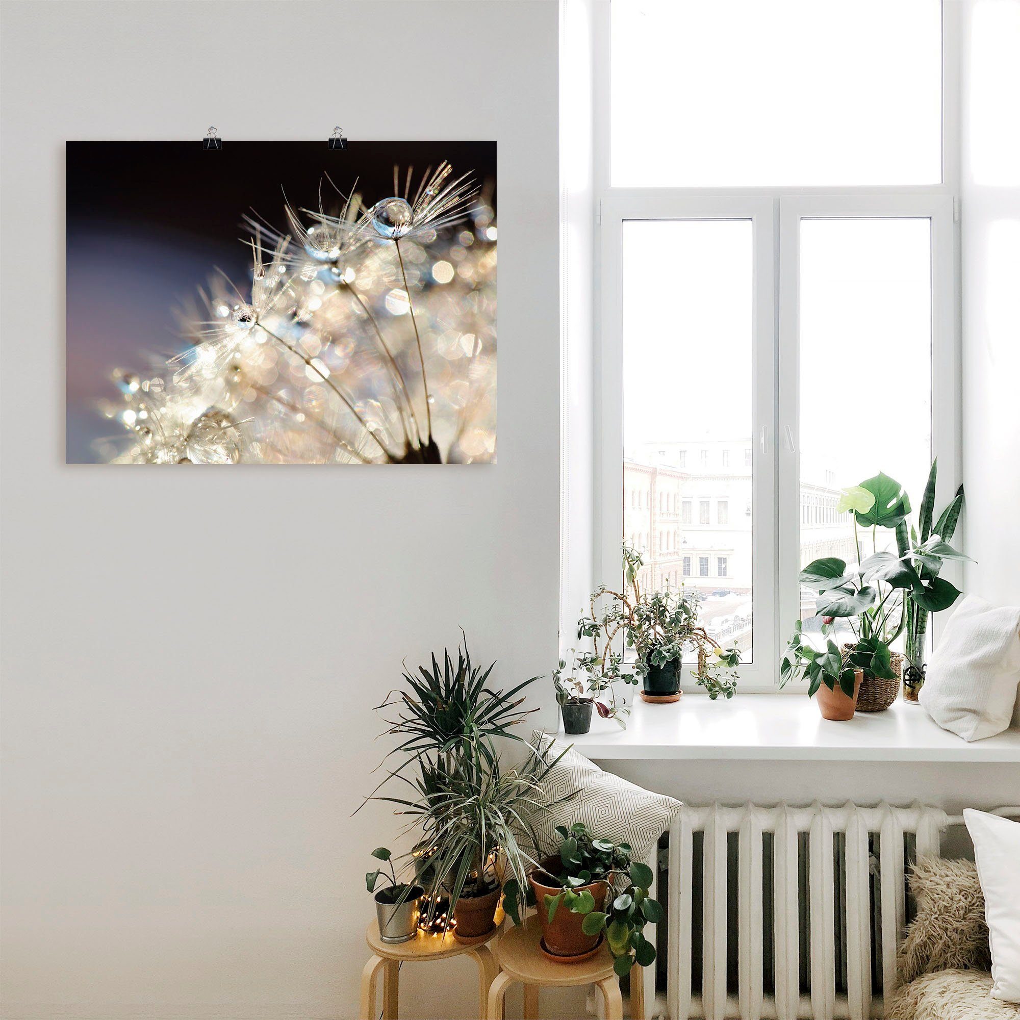 in oder Größen Wandbild als Wandaufkleber Pusteblume St), (1 Artland Fantasie, Alubild, versch. Blumen Poster Leinwandbild,