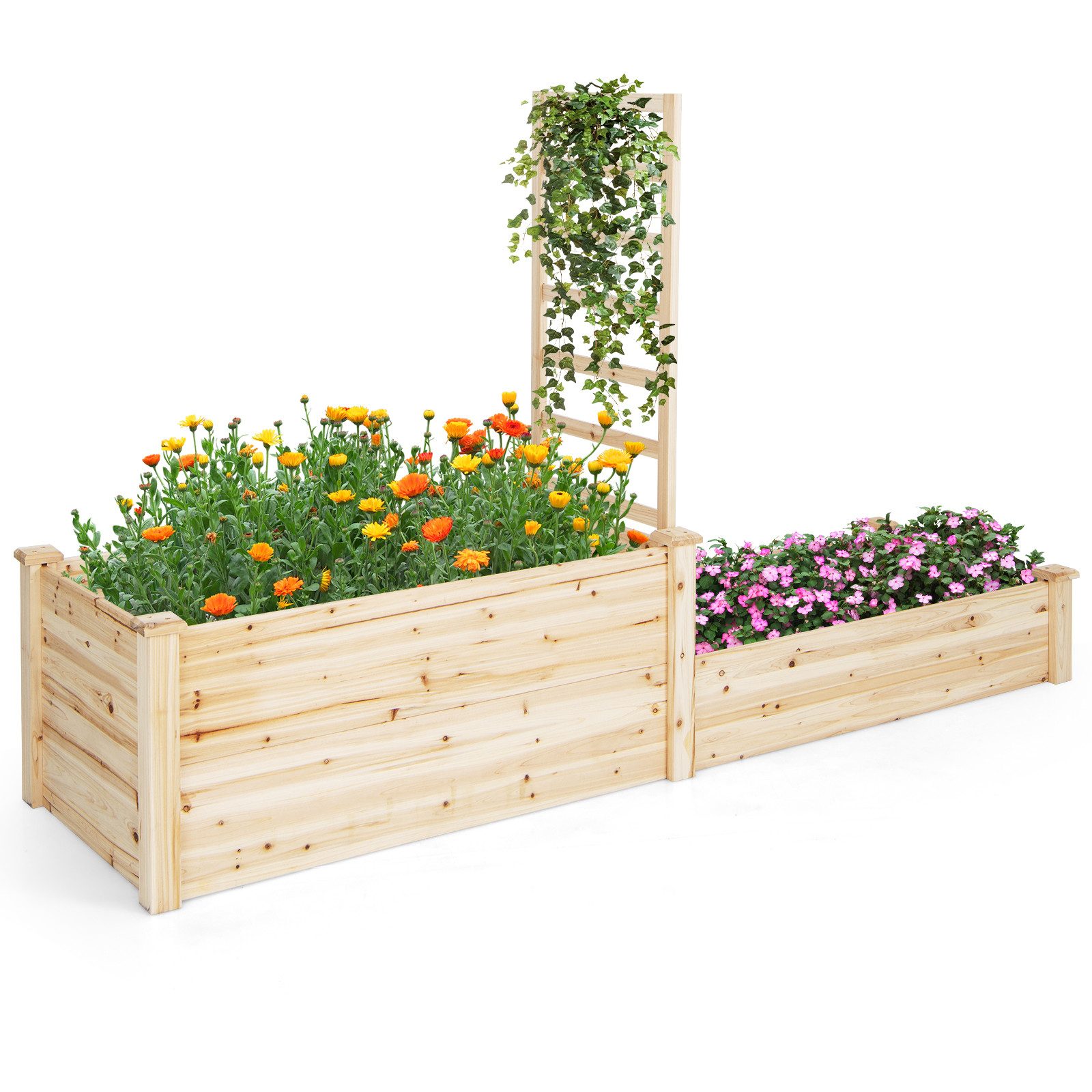 COSTWAY Hochbeet (1 St), mit Rankgitter, aus Tannenholz, 223x64x134 cm