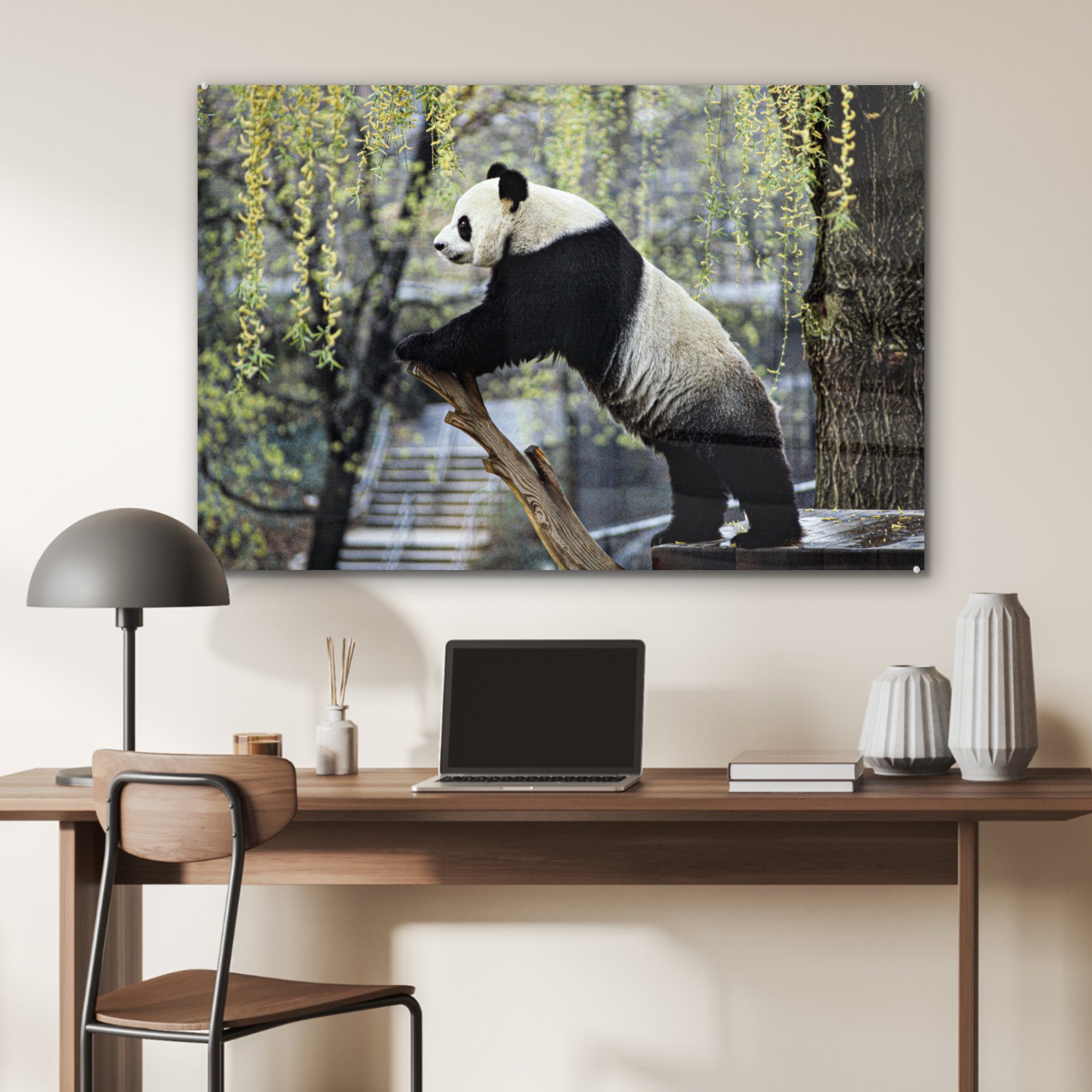 Acrylglasbild Panda St), & MuchoWow (1 - Wohnzimmer - Baum, Acrylglasbilder Schlafzimmer Fluss