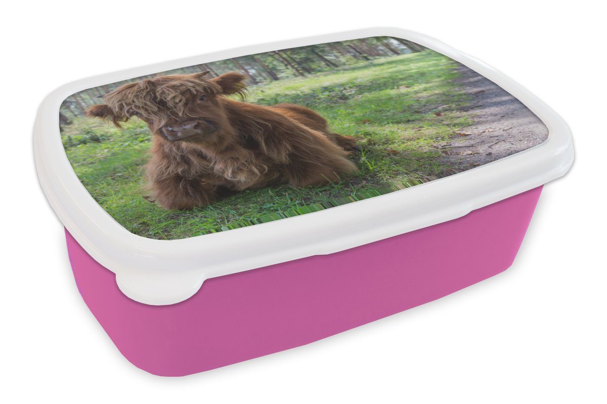 (2-tlg), Kunststoff Lunchbox Brotbox Mädchen, - Kunststoff, Brotdose rosa Schottischer Highlander Kinder, Tiere, Erwachsene, Snackbox, - Kröte für MuchoWow