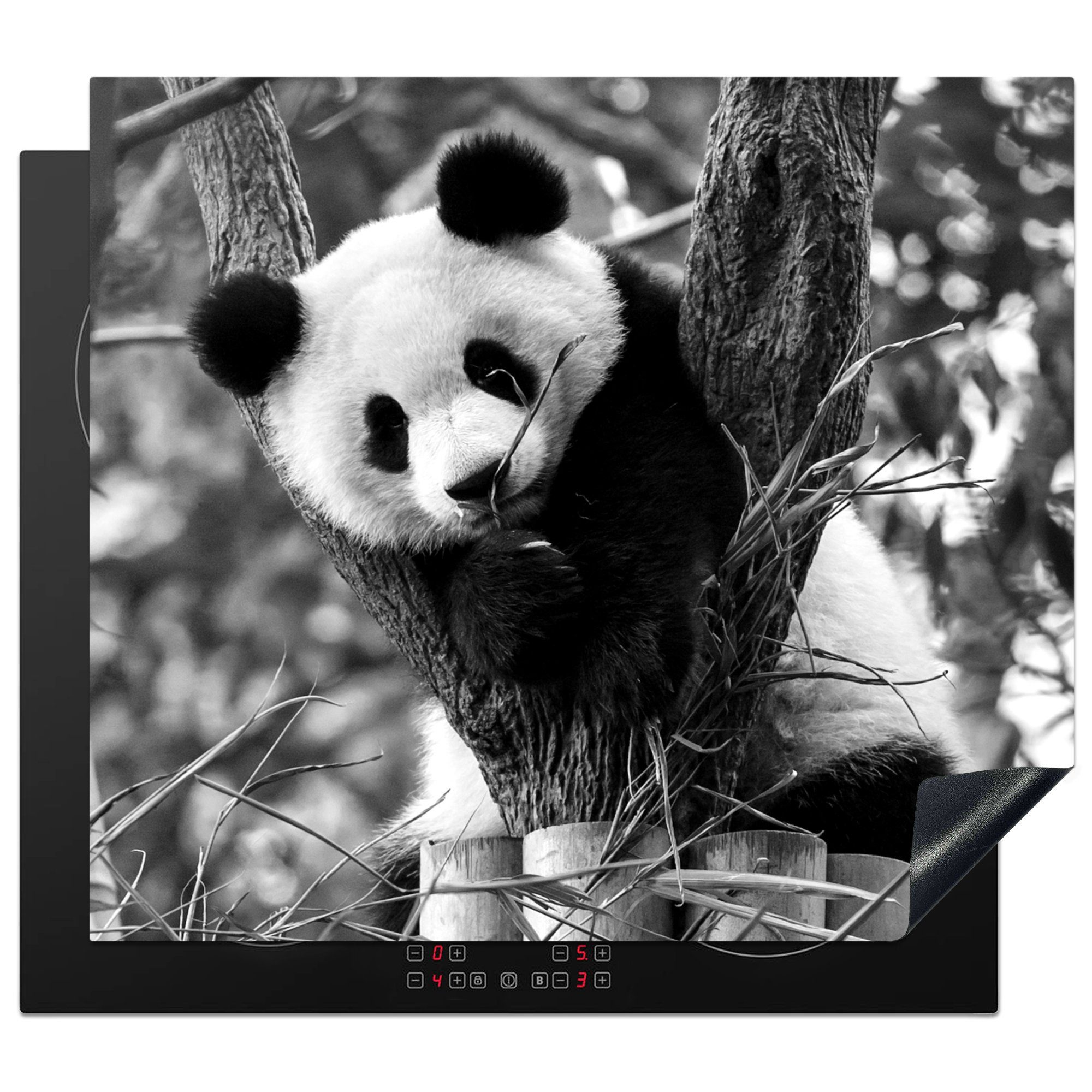 MuchoWow Herdblende-/Abdeckplatte Panda Welpe - schwarz und weiß, Vinyl, (1 tlg), 60x52 cm, Mobile Arbeitsfläche nutzbar, Ceranfeldabdeckung