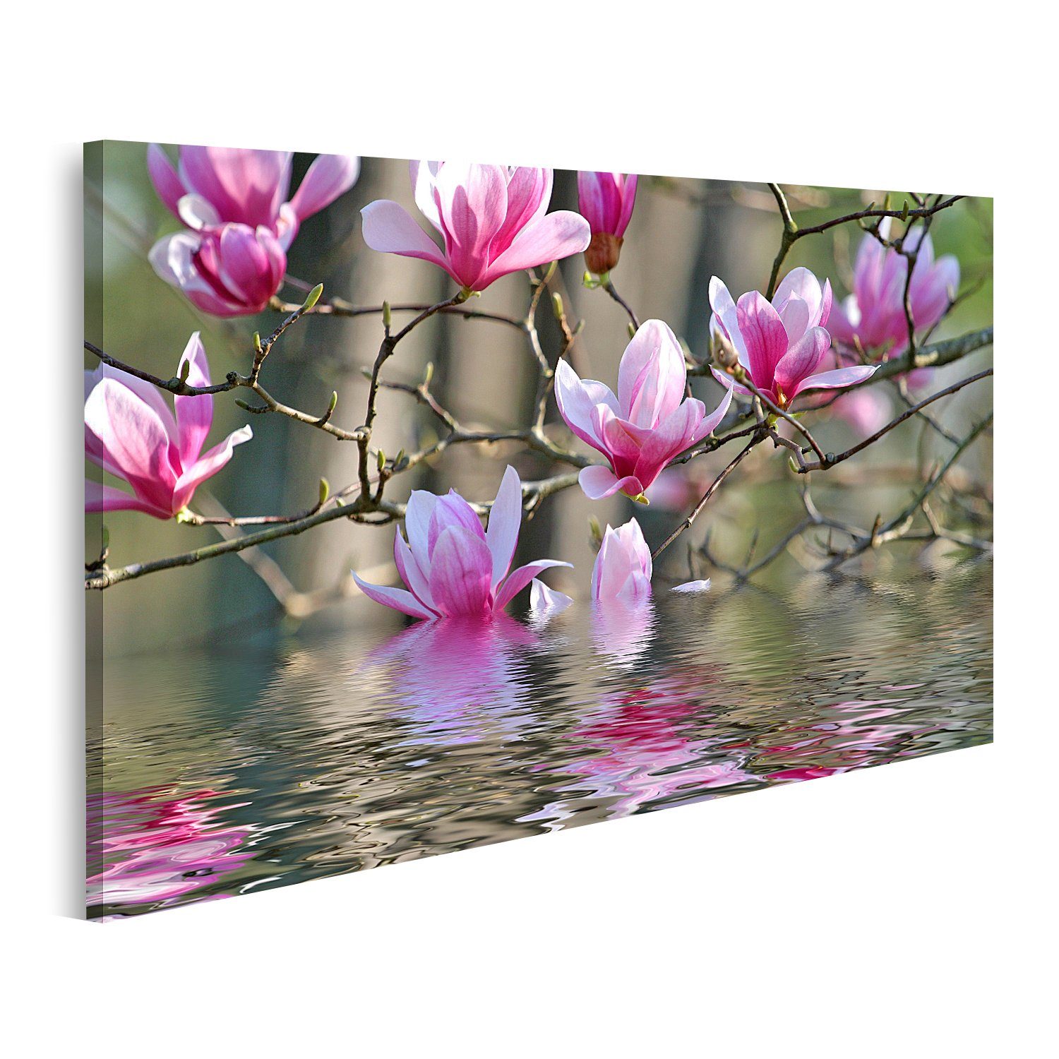 islandburner Leinwandbild Bild auf Leinwand Schöner günstig online kaufen